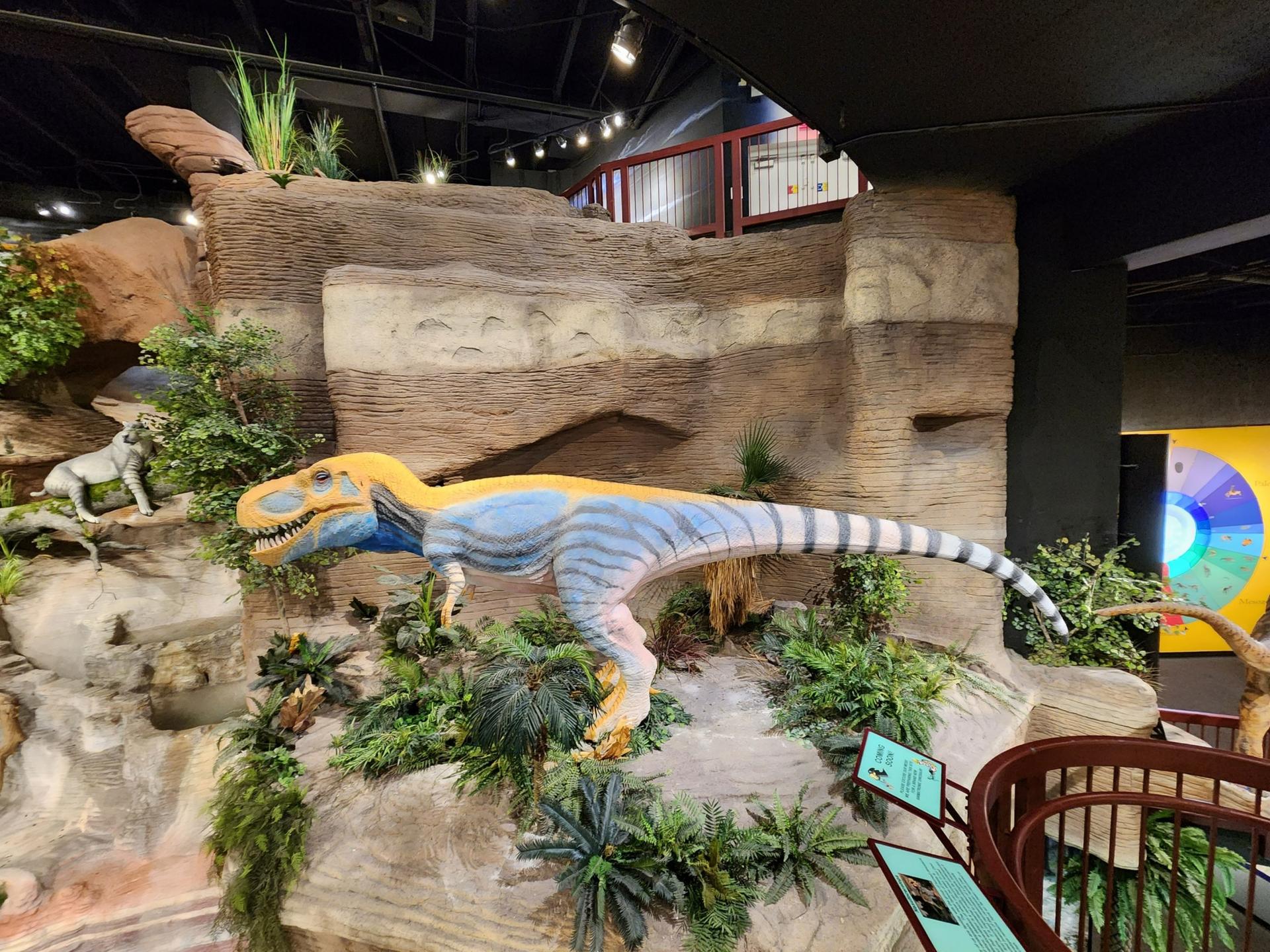 Full Buyout of Arizona Museum of Natural History