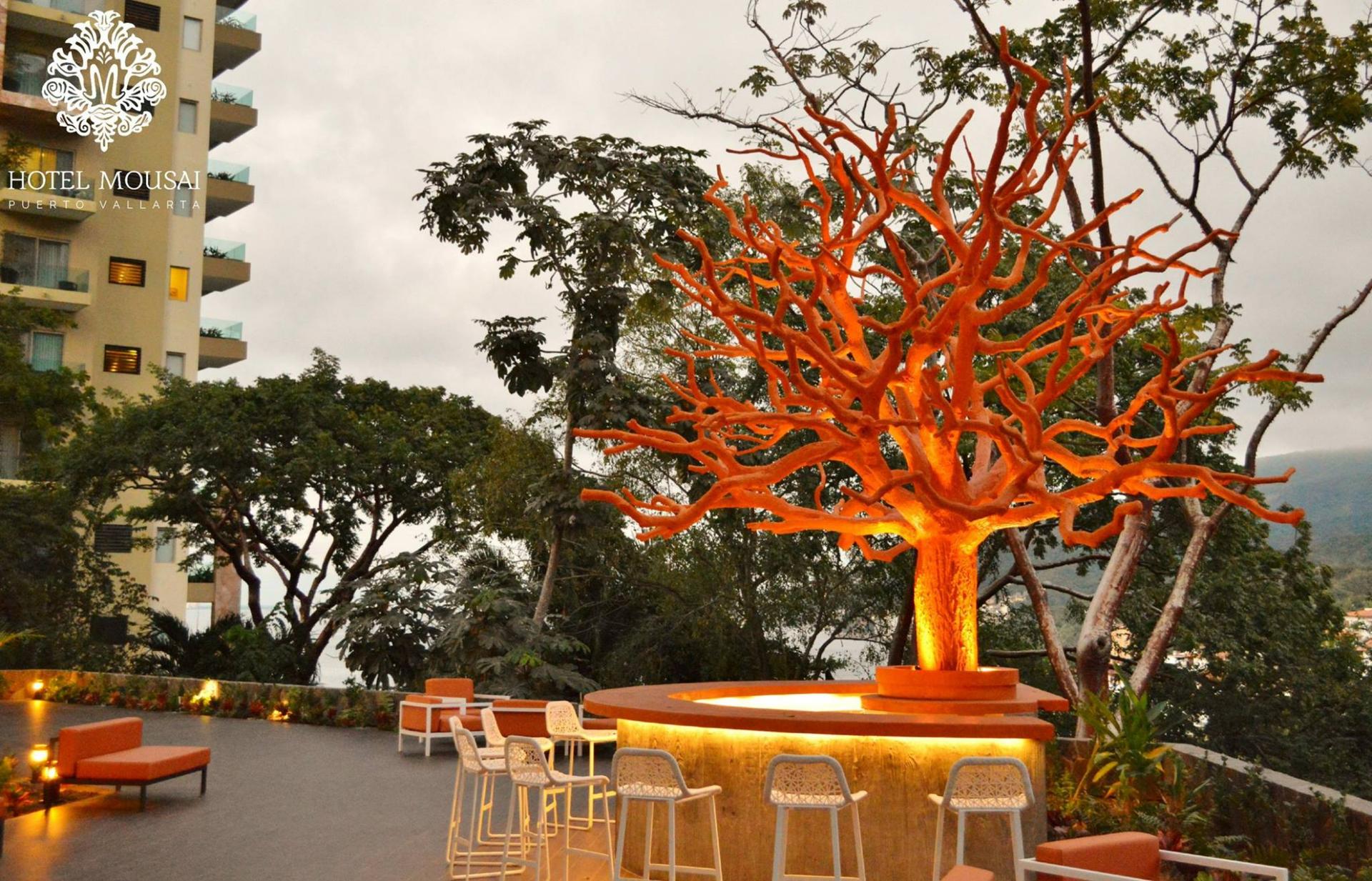 The Orange Deck