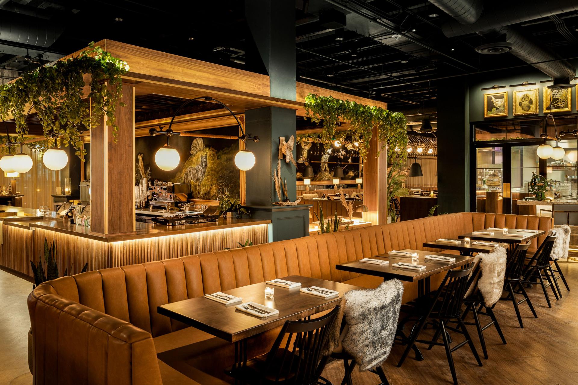Full Buyout of Wren & Wolf
