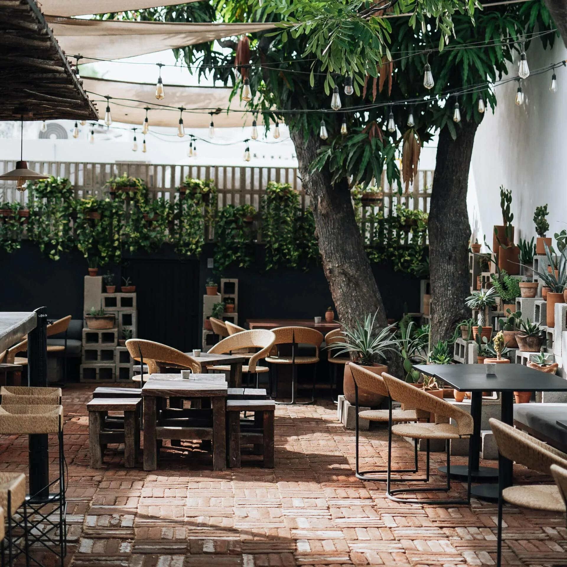Kitchen + Mezcal Bar