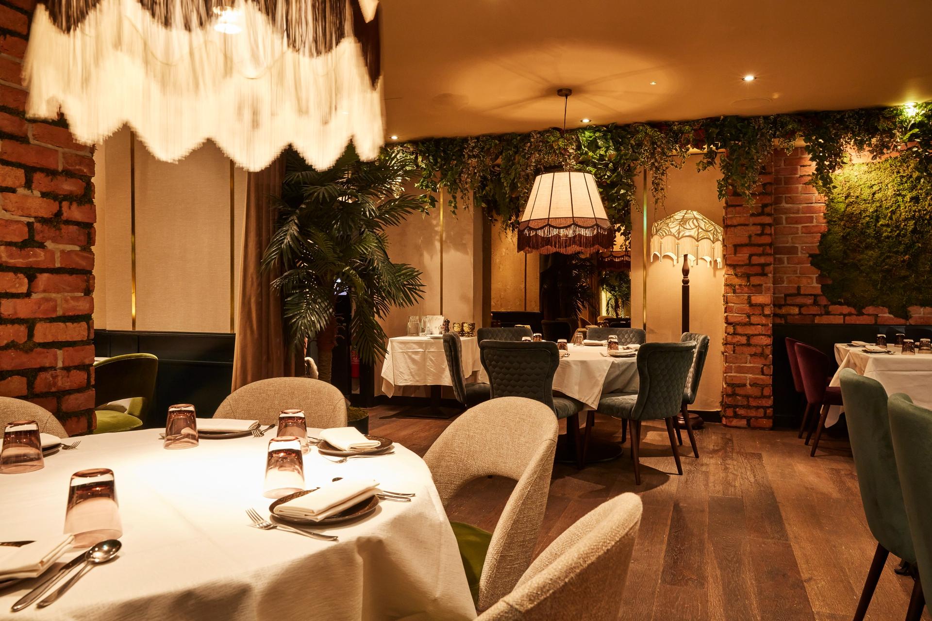 Full Buyout of Zuaya London