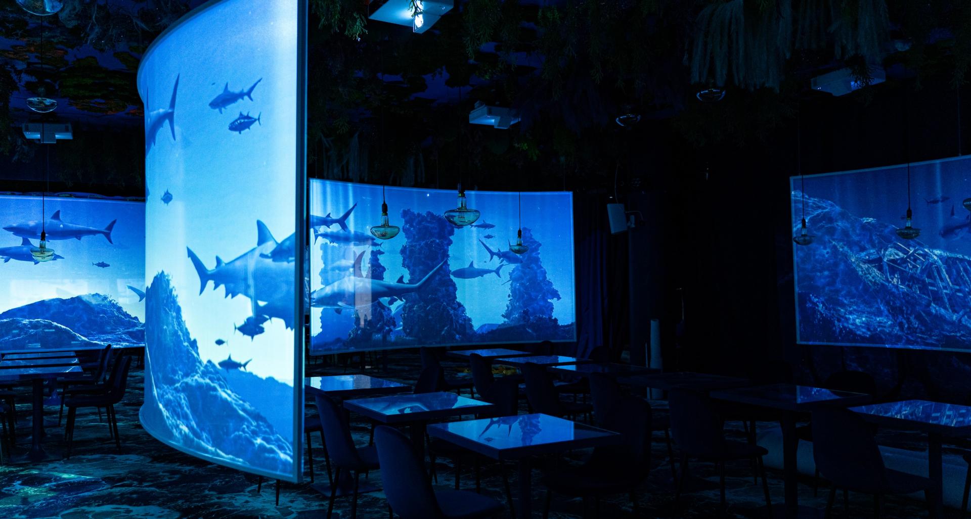 Full Buyout of Under the Sea - Ephemera