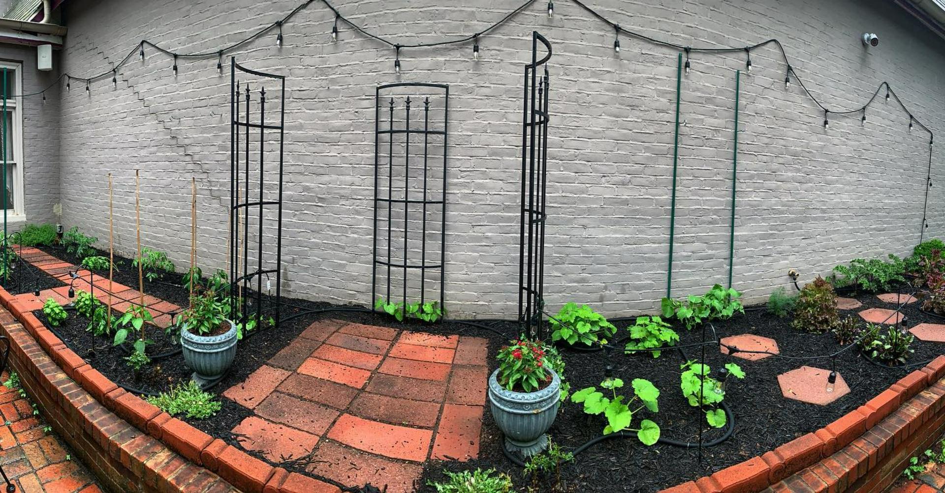 Back Patio