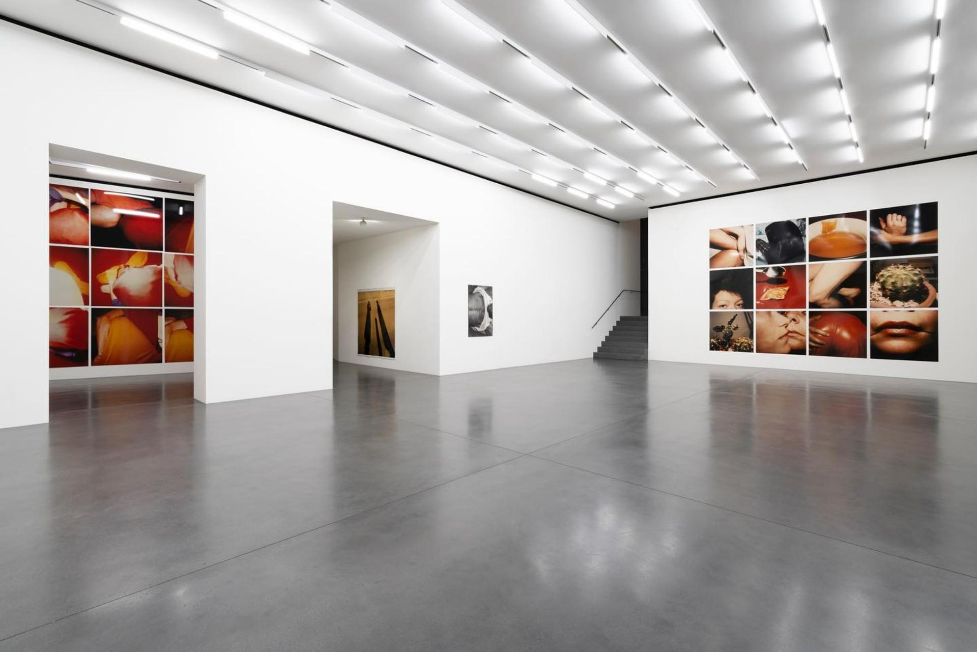 Full Buyout of Muzeum Susch
