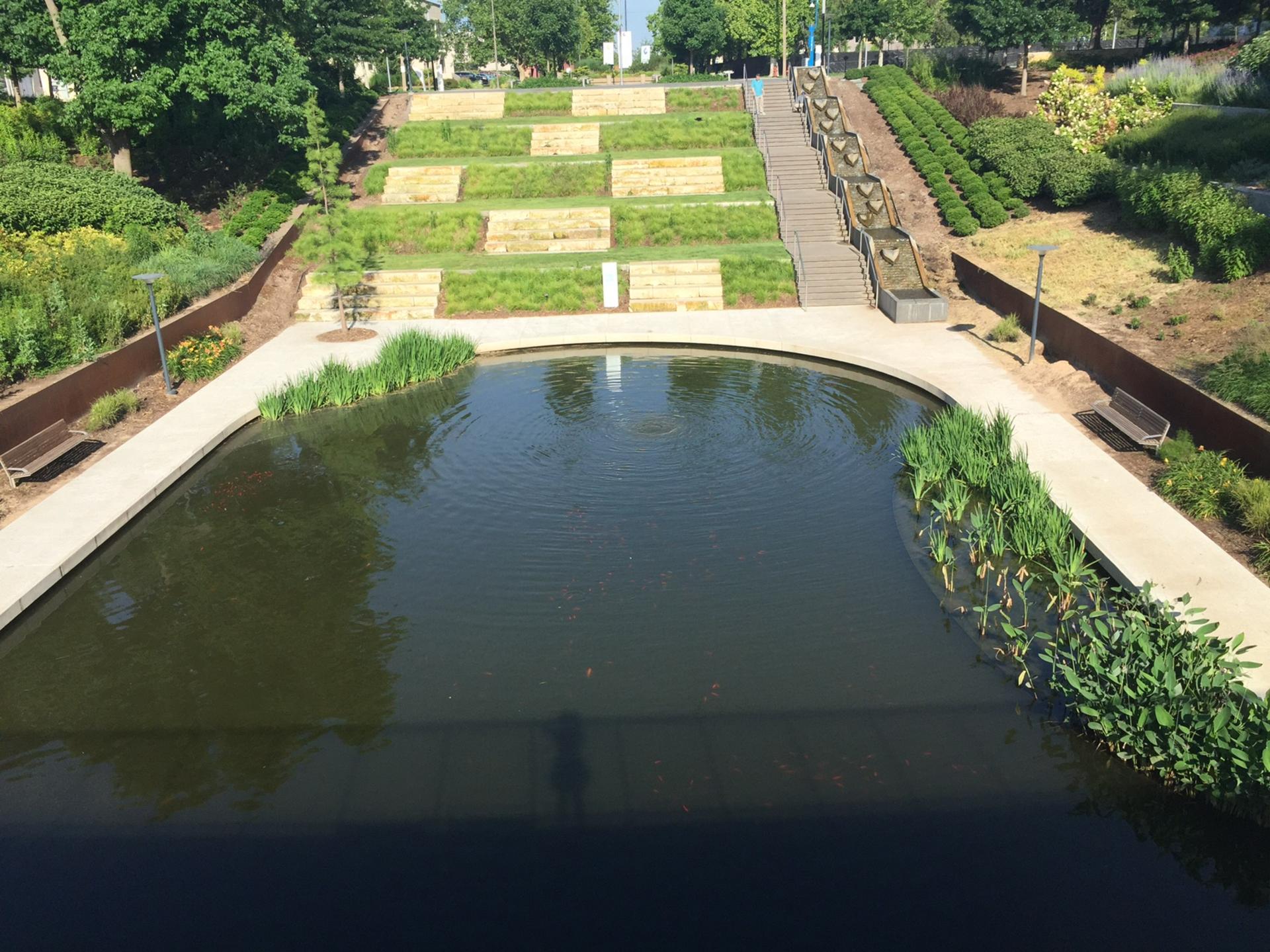 West Lower Lake