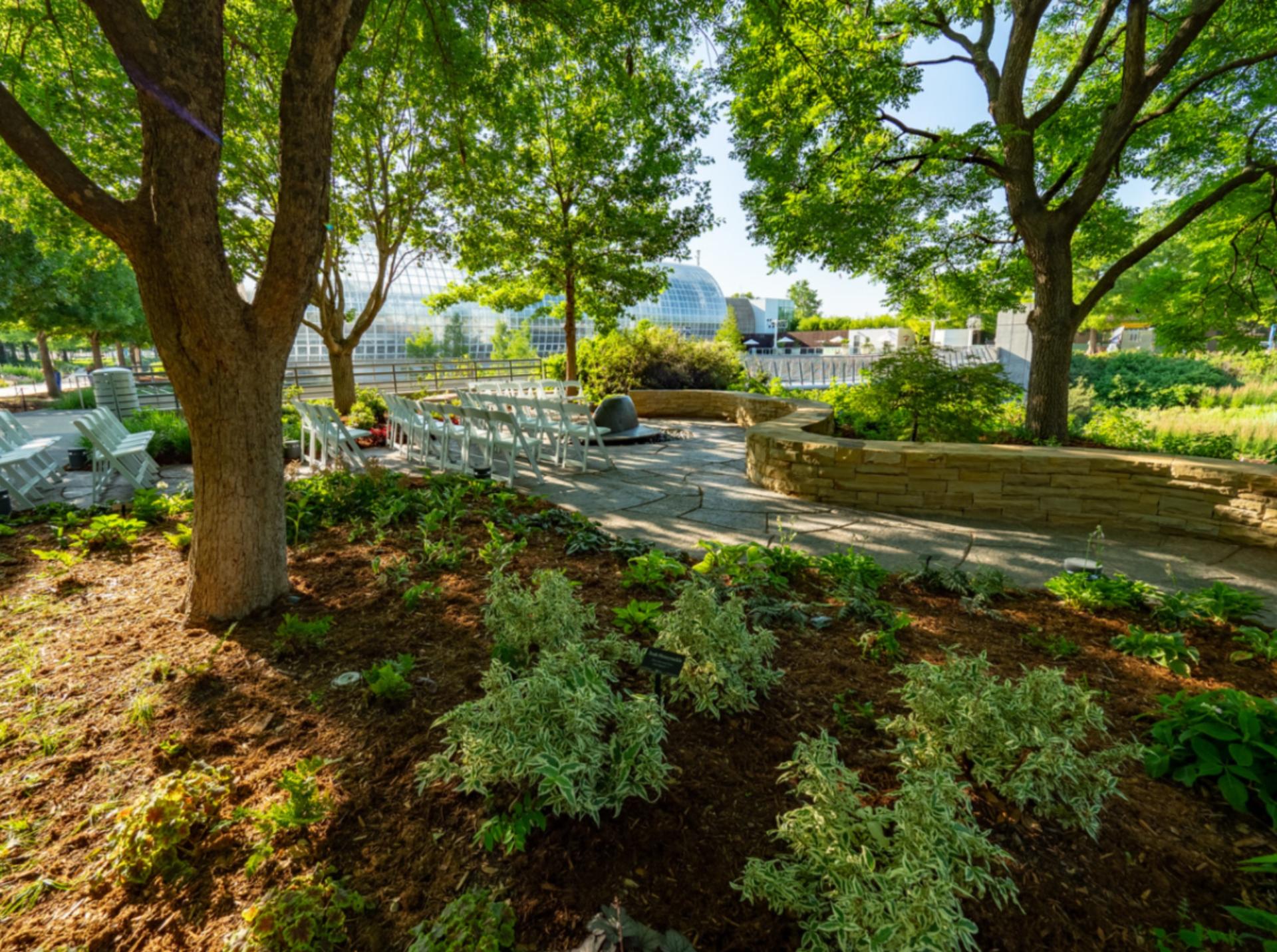 Tanenbaum Reflection Garden