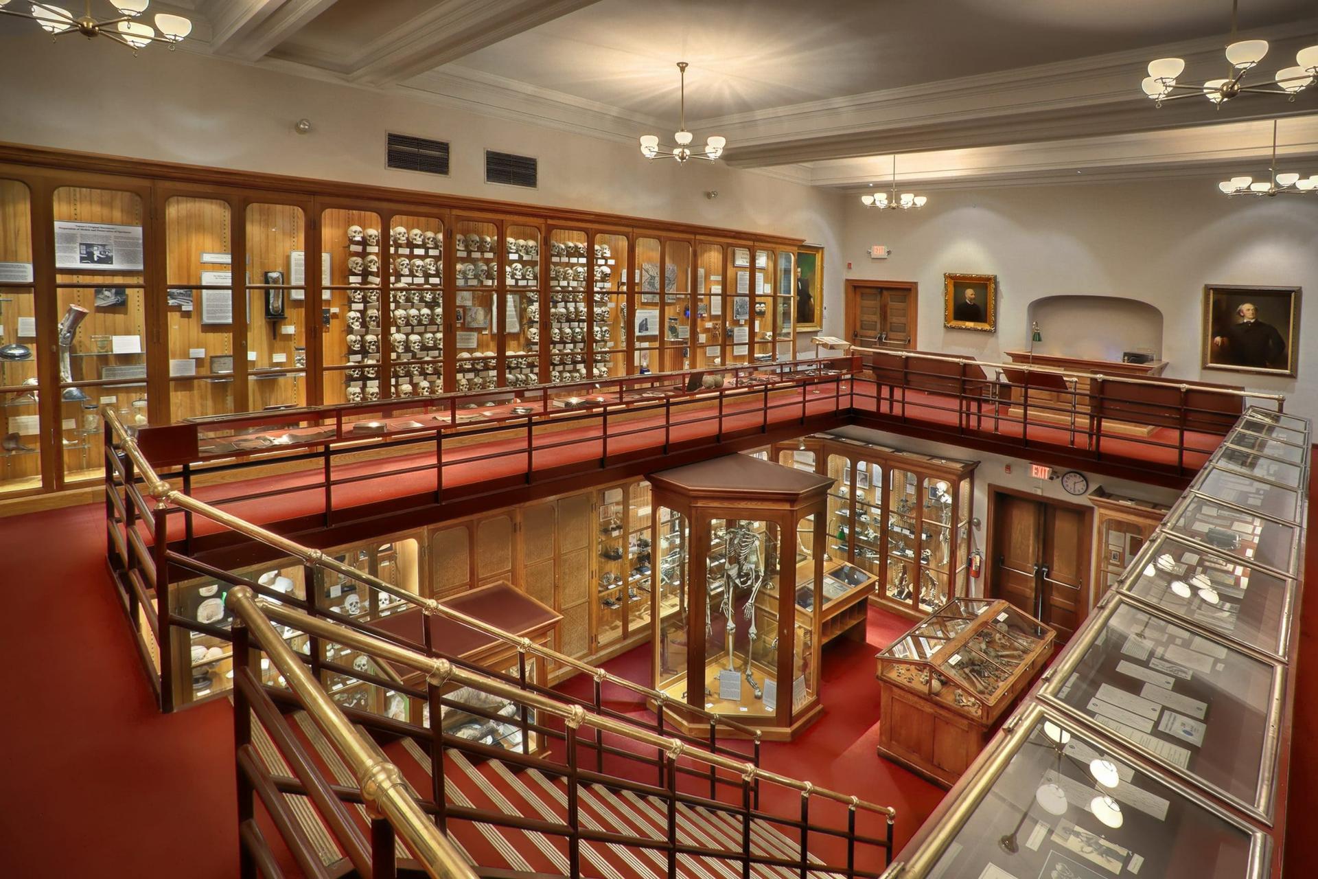The Mütter Museum