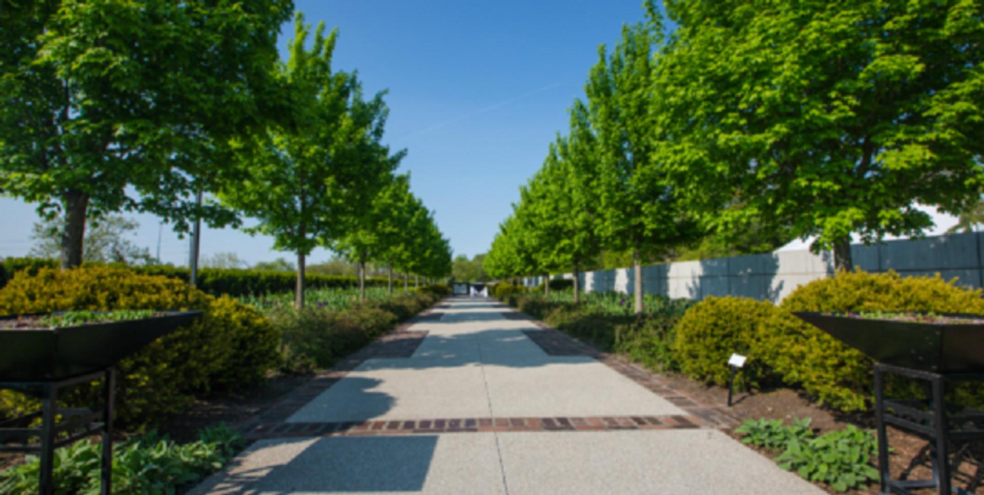 Allee