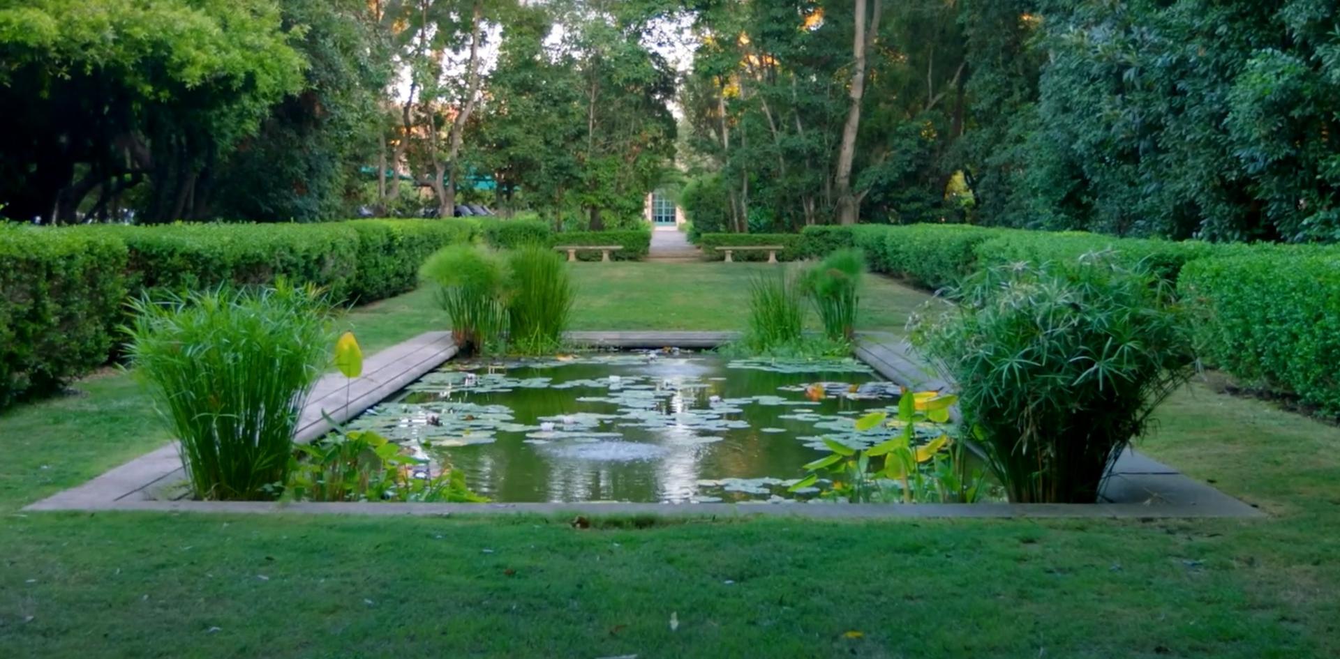 Holden Garden