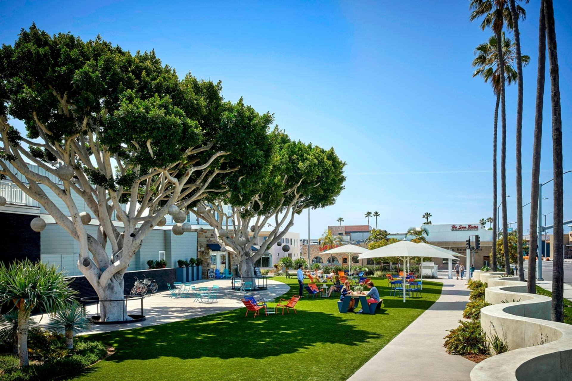 Newport Lawn	