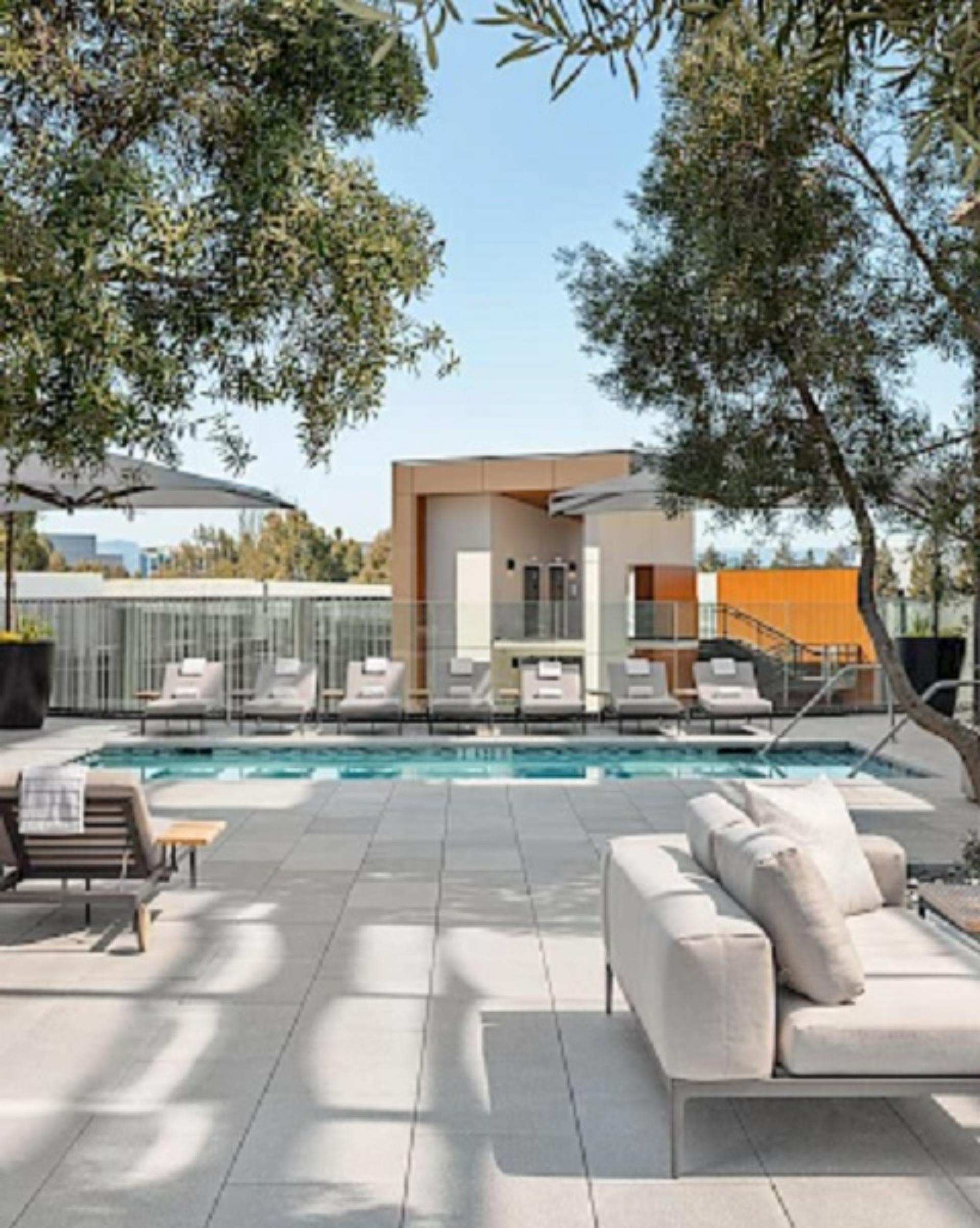 Arboreous Pool Deck 