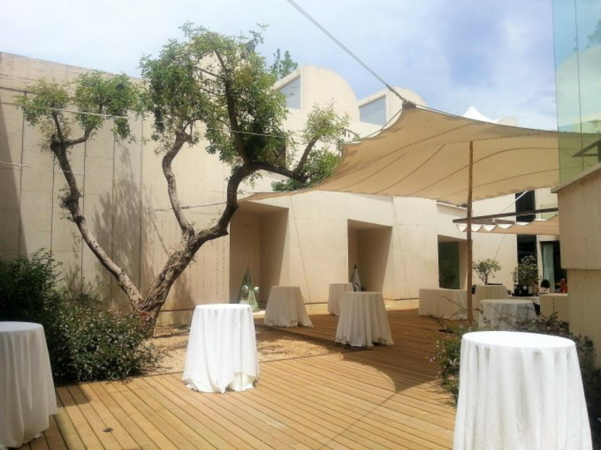 Carob Tree Patio