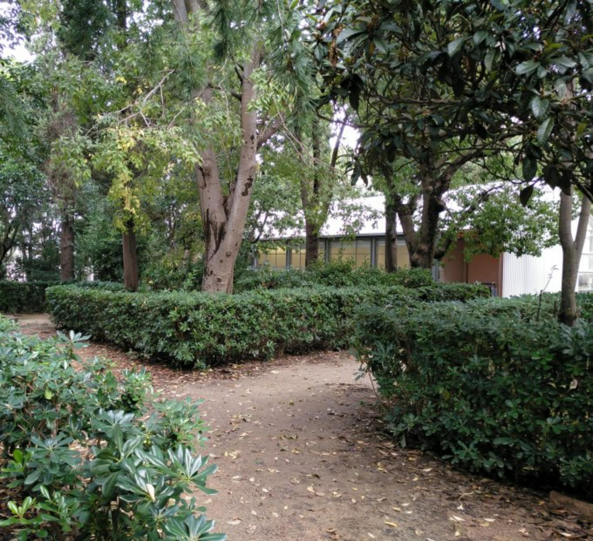 Cypress Garden