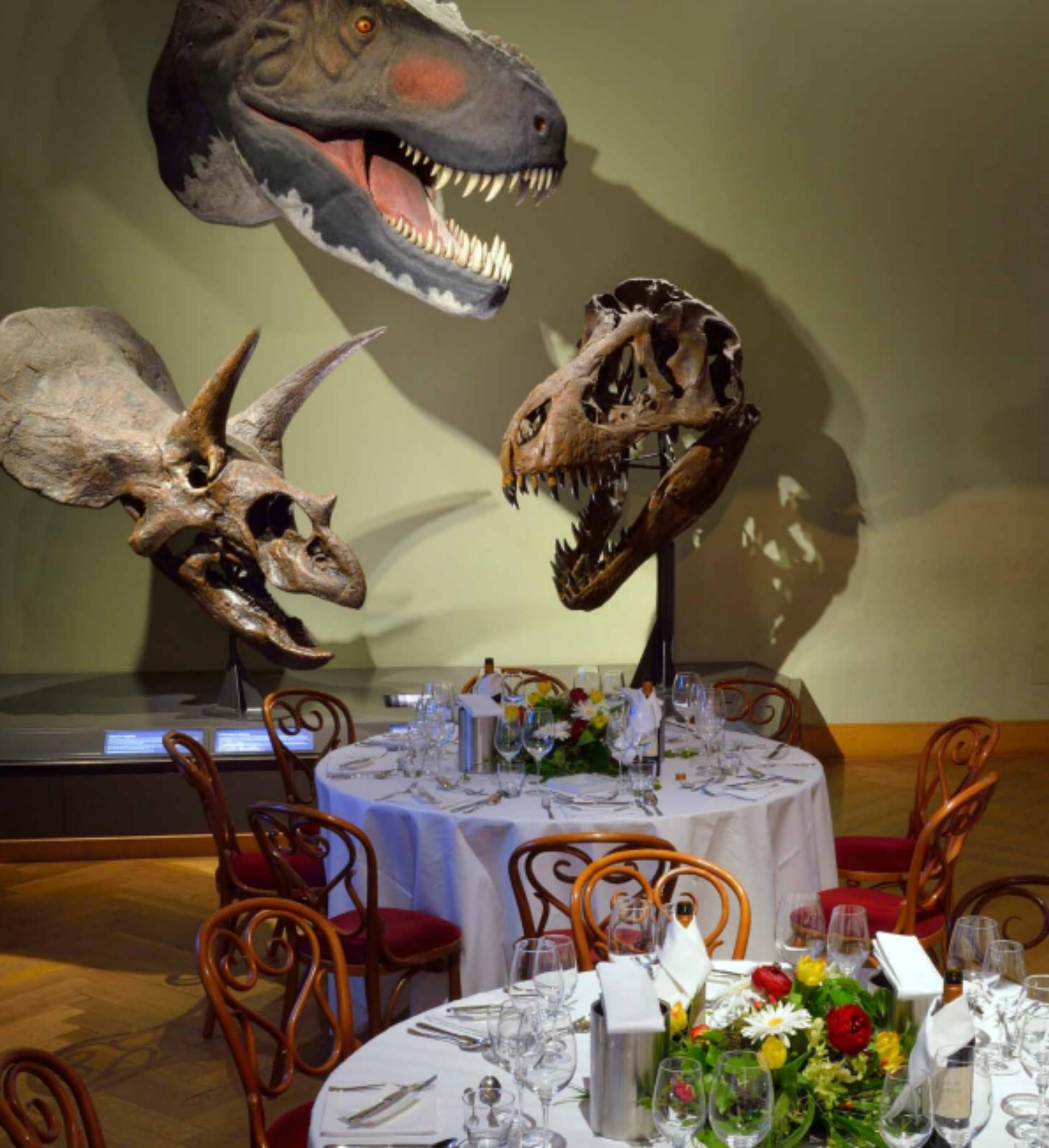 Dinosaur Hall