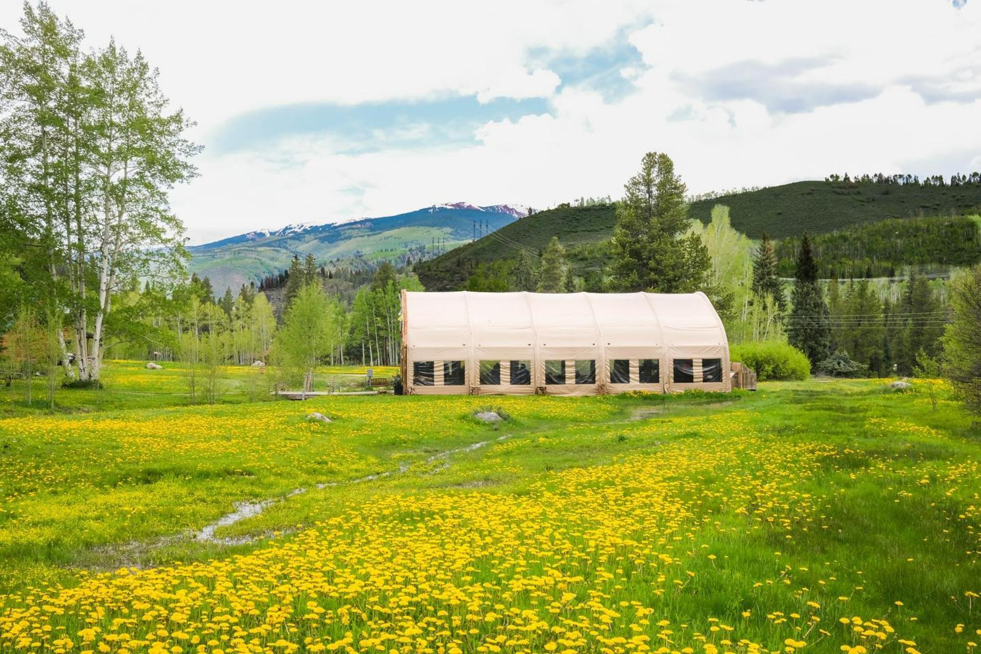 Full Buyout of Beyul Retreat