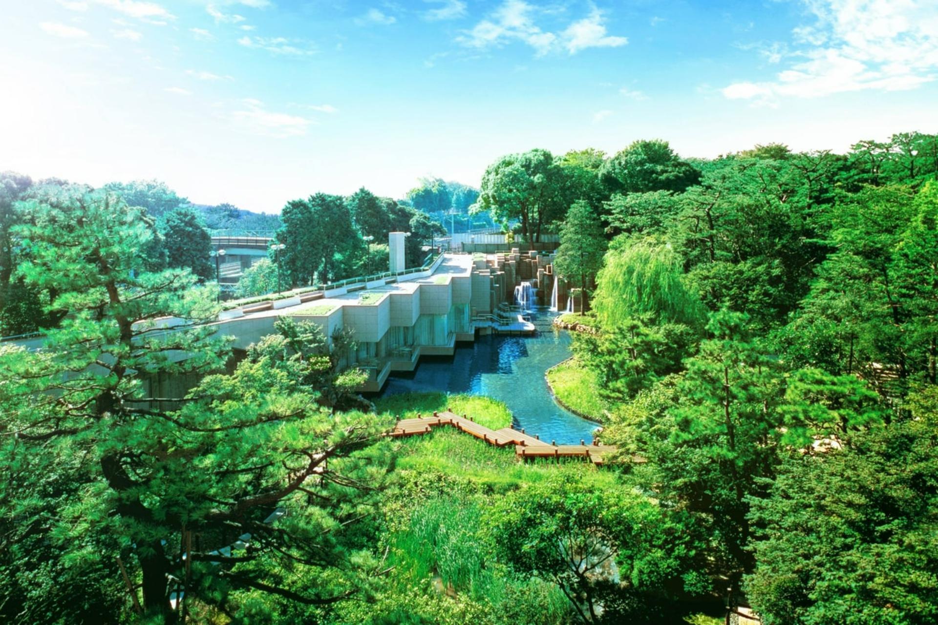The Garden View	