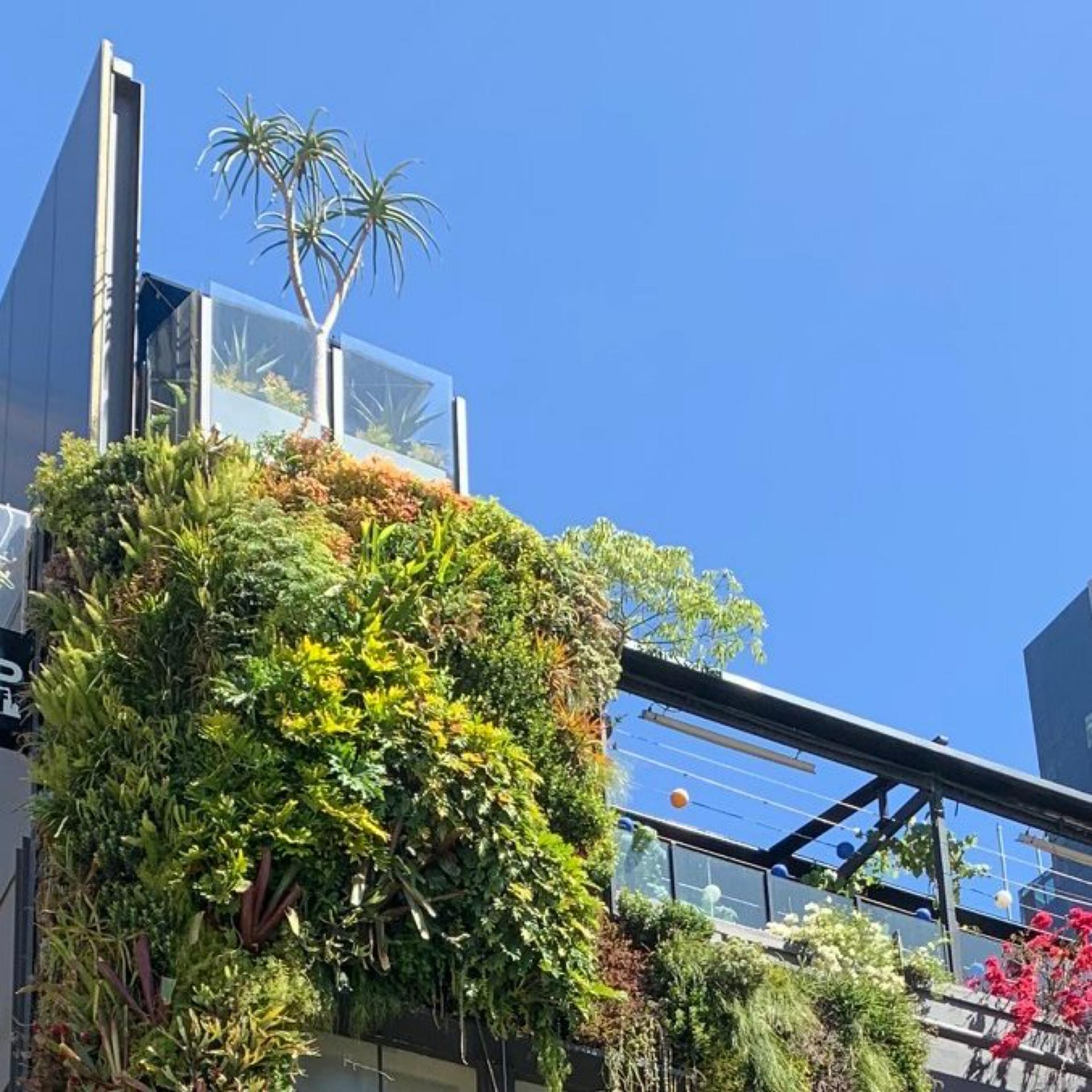 Gardens Level 3 & 4 Rooftop 