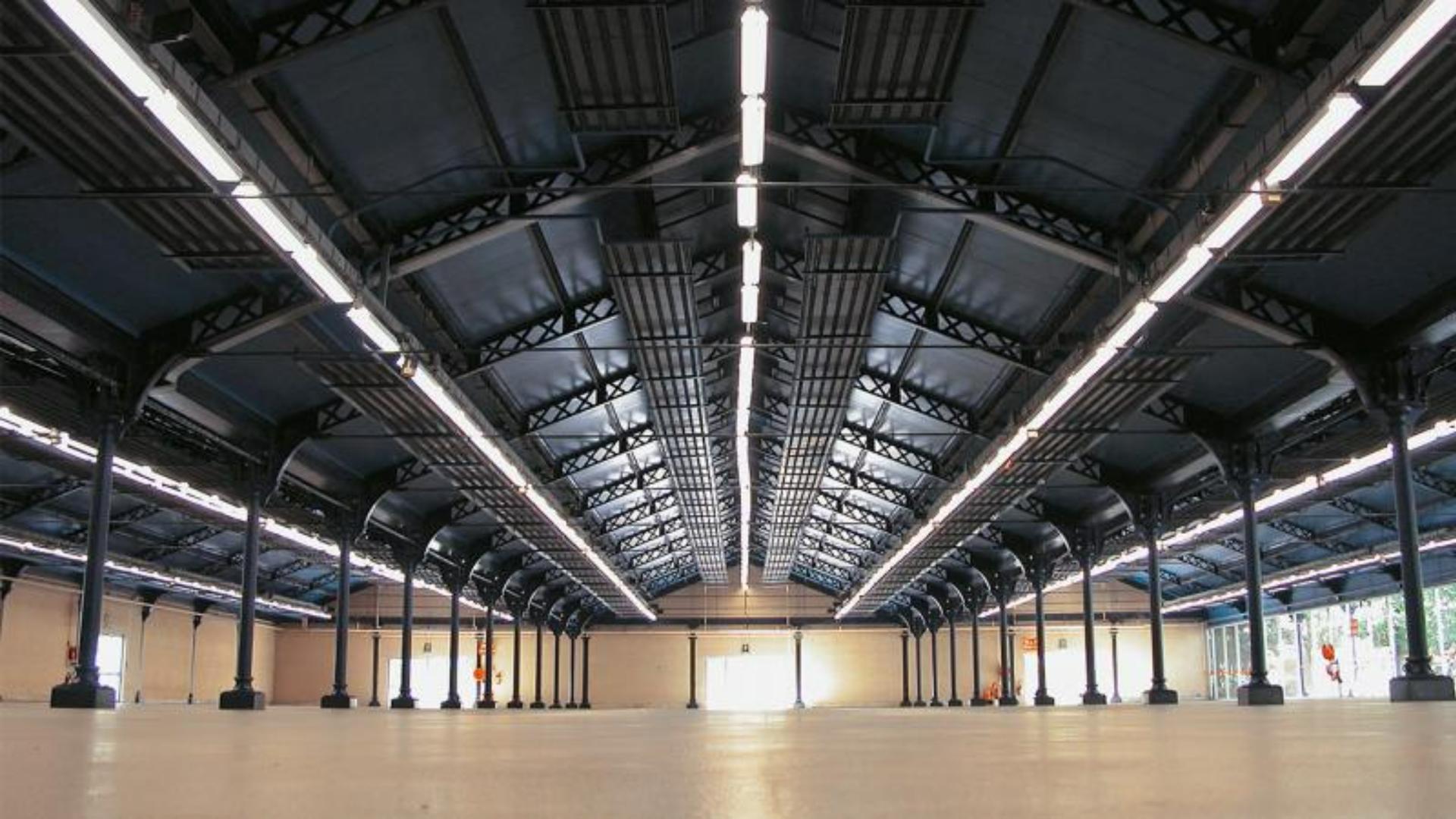 Hall of the Pine Forest Hall 3
