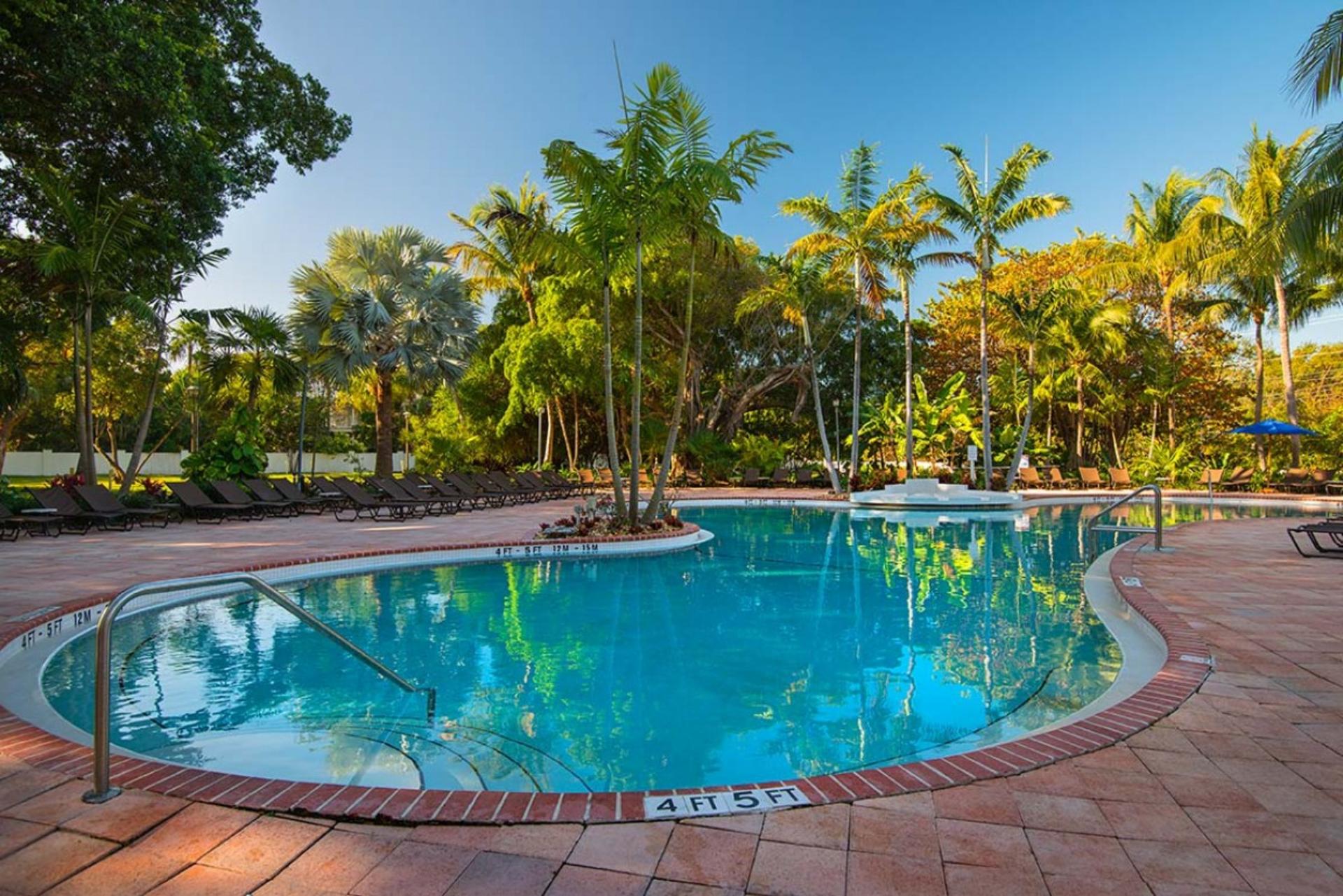 Coral Cay (Pool)