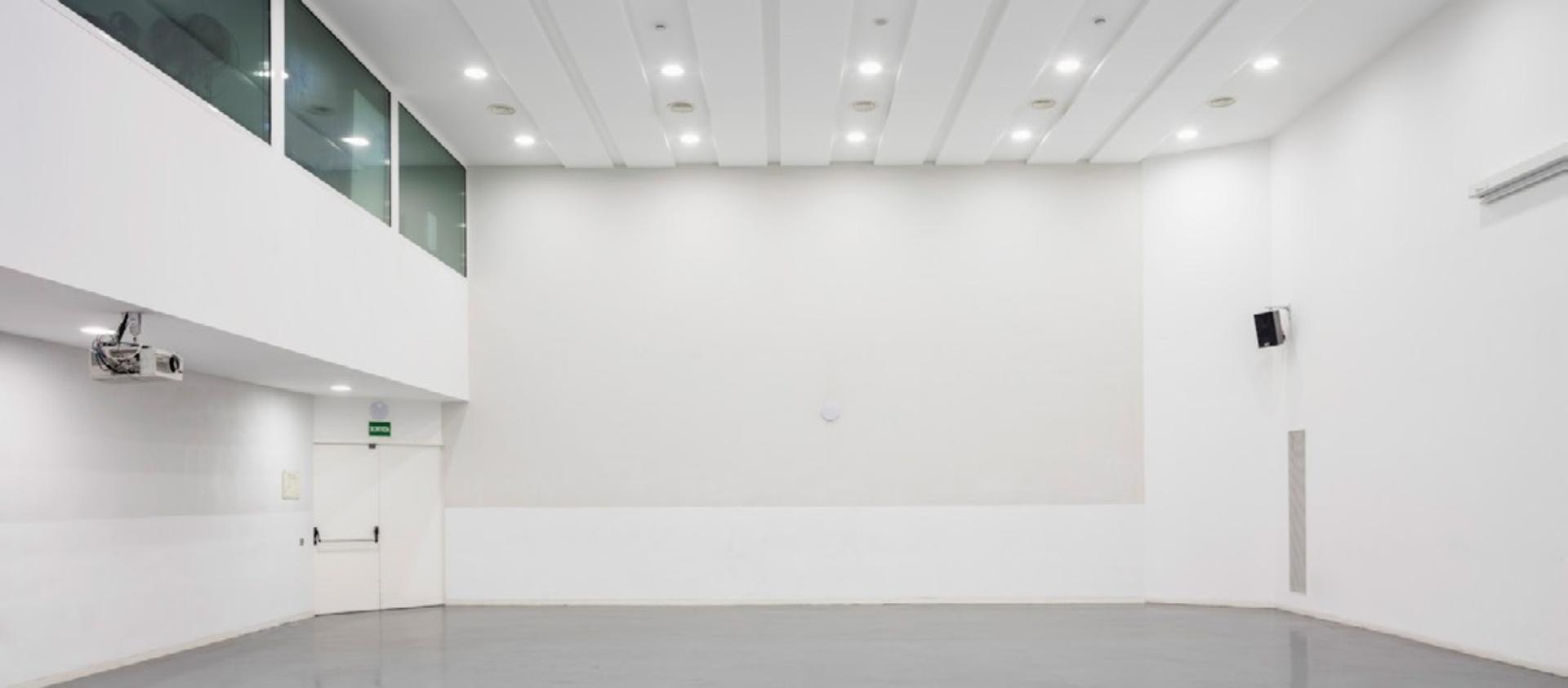 Sala Raval Conference Room