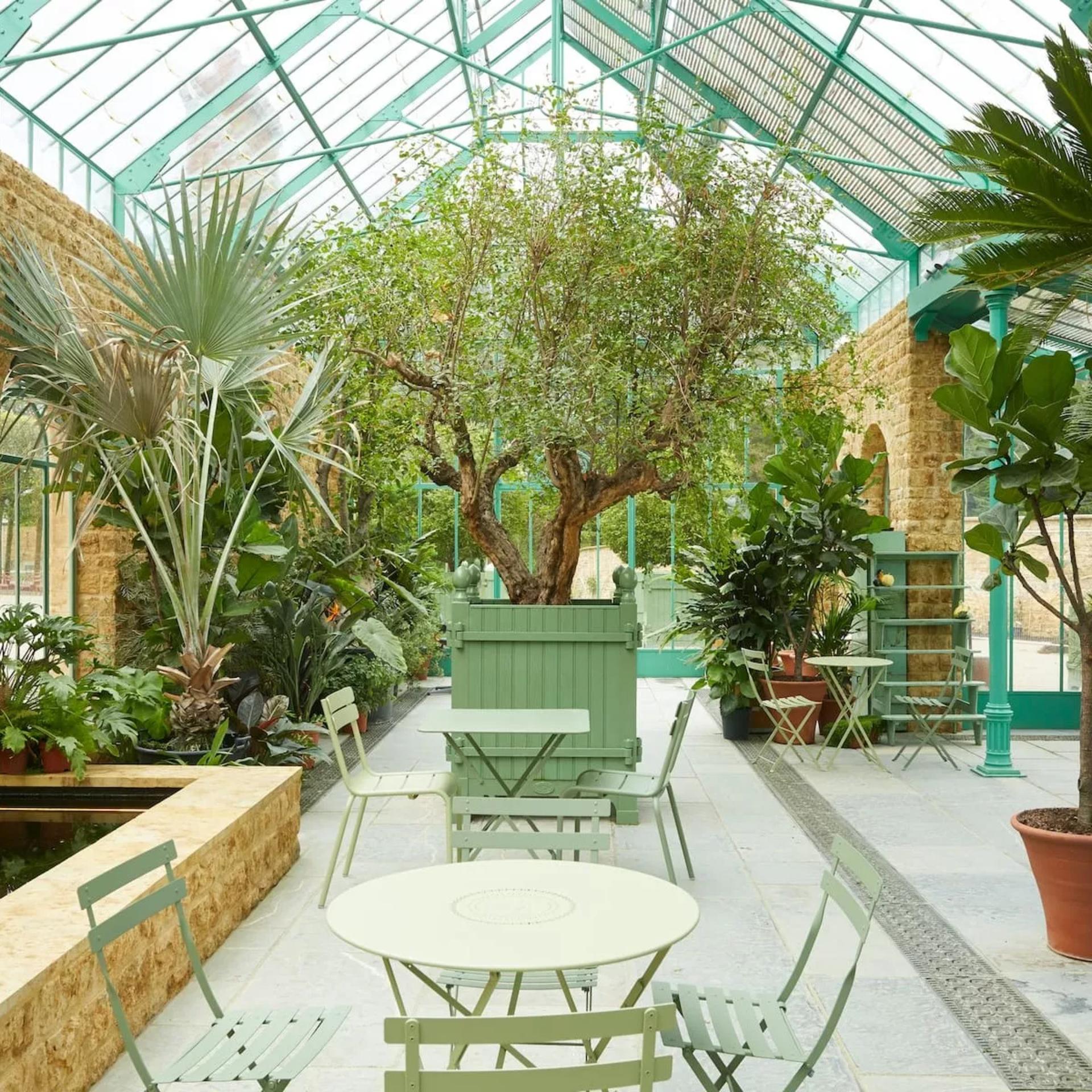 The Winter Garden