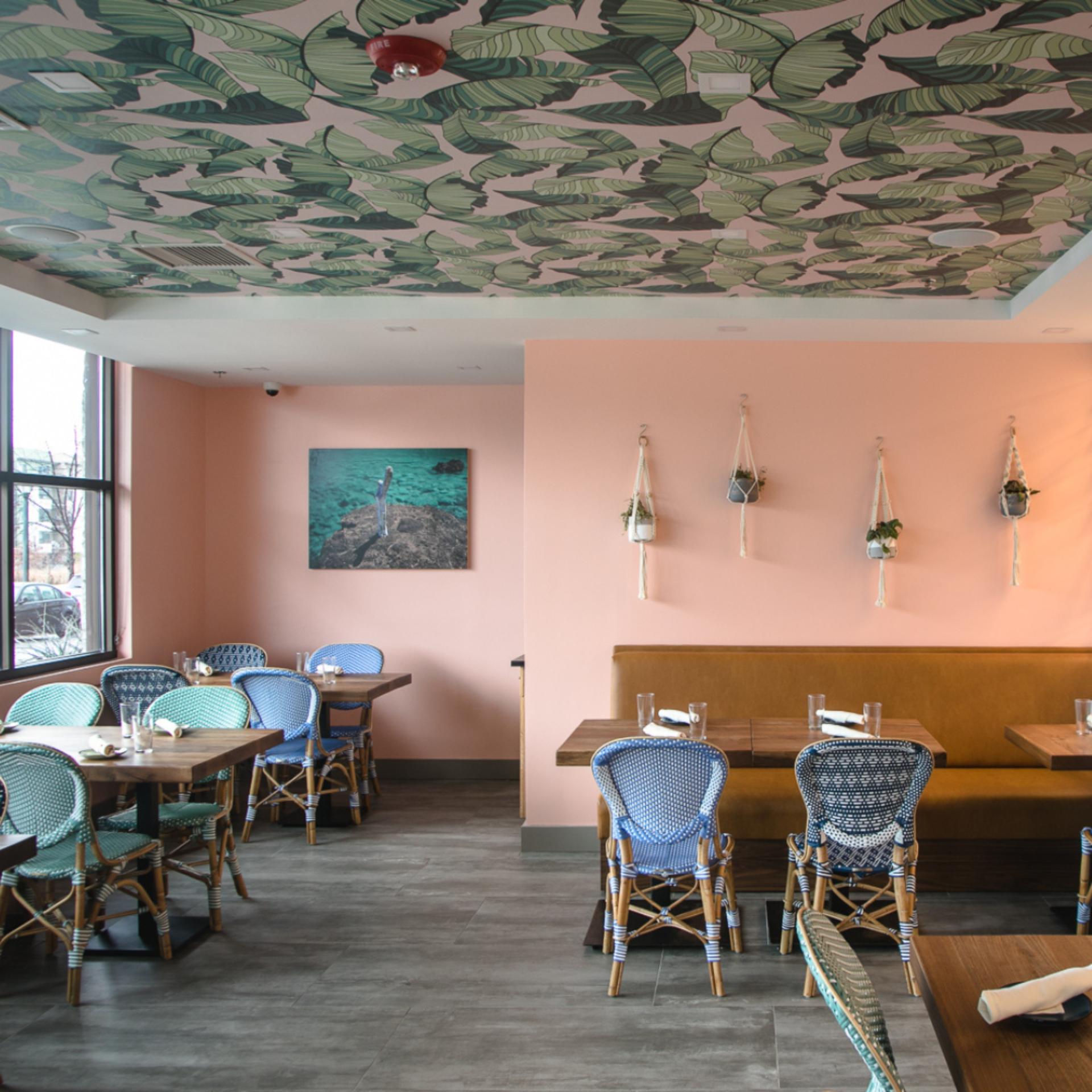 The Palm Room