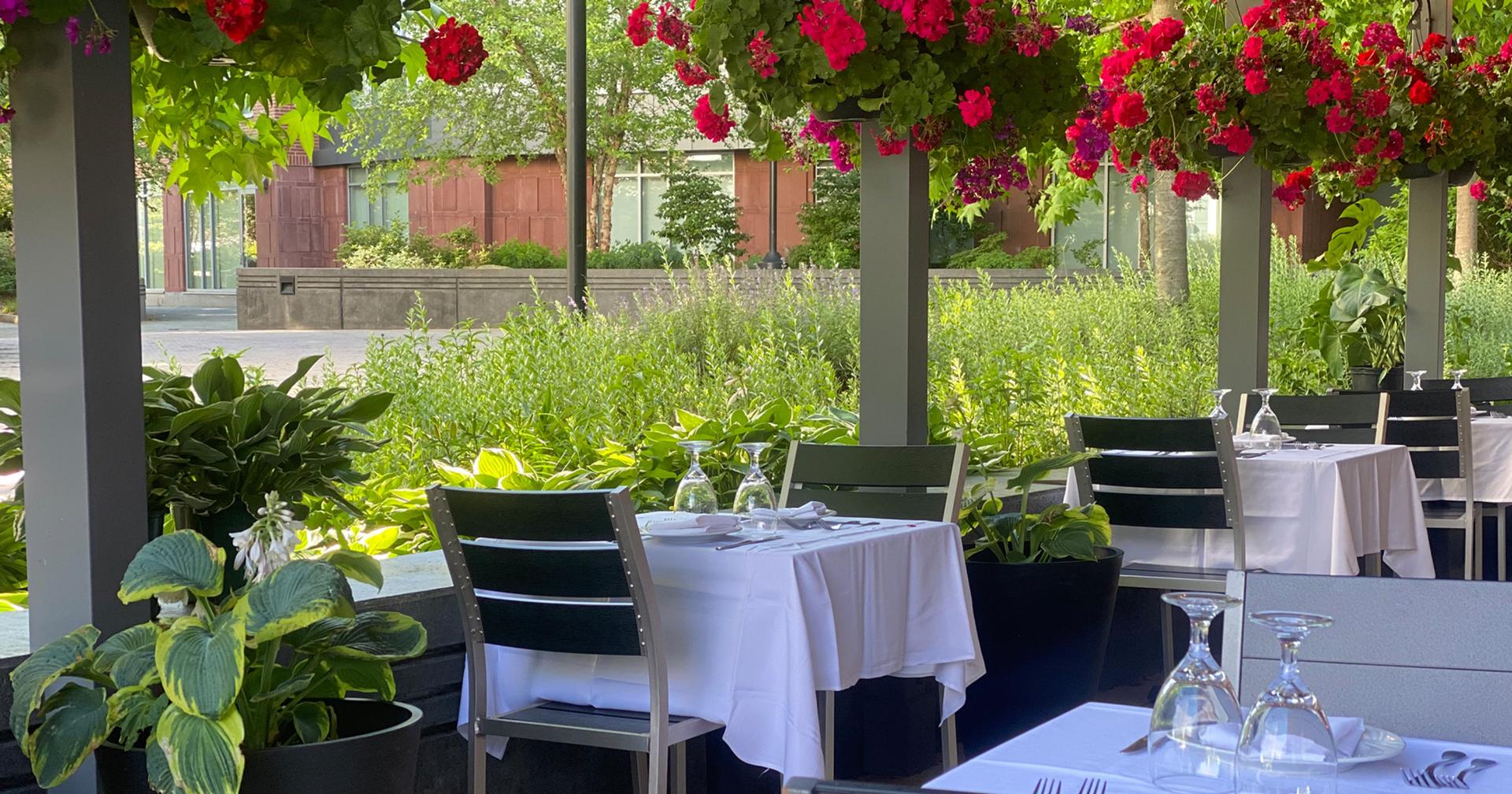 Full Buyout of Ariana Restaurant