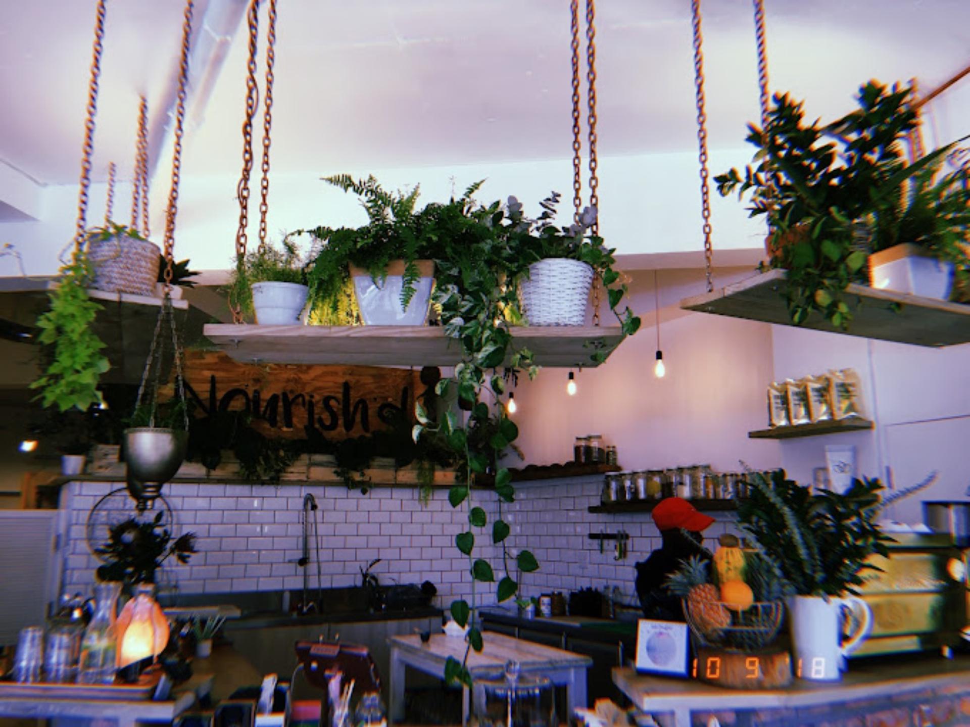 Full Buyout of Nourish'd