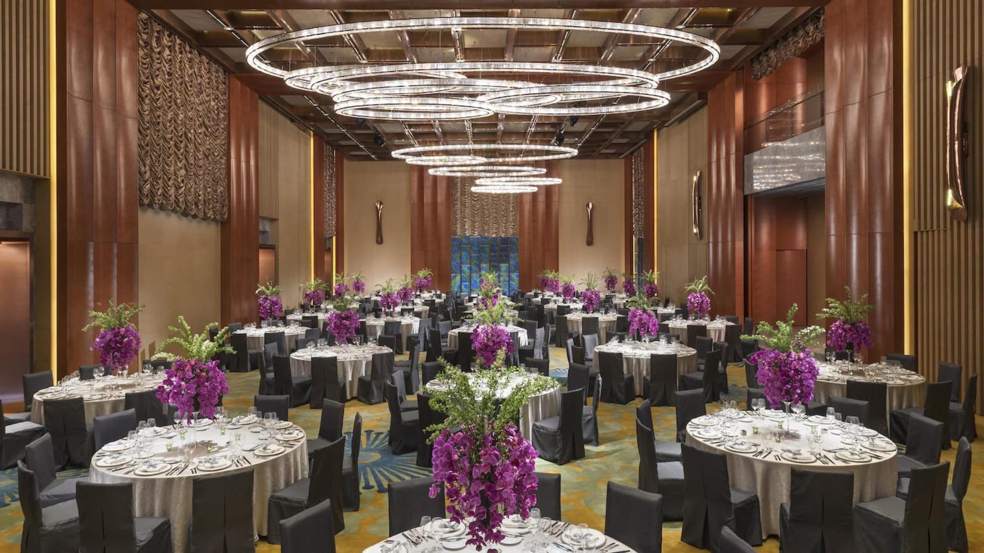 Mandarin 1 + 11