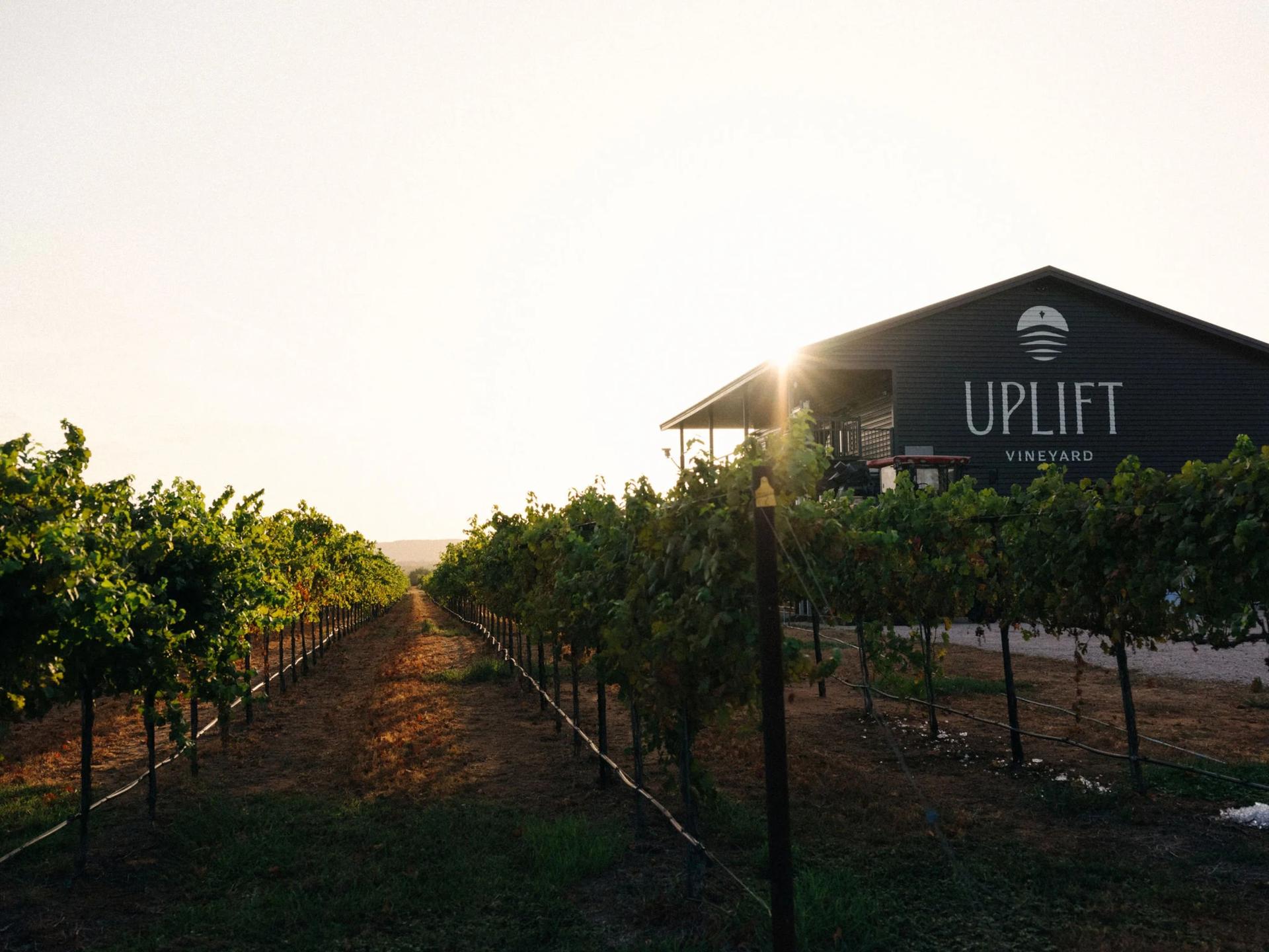 Full Buyout of Uplift Vineyard