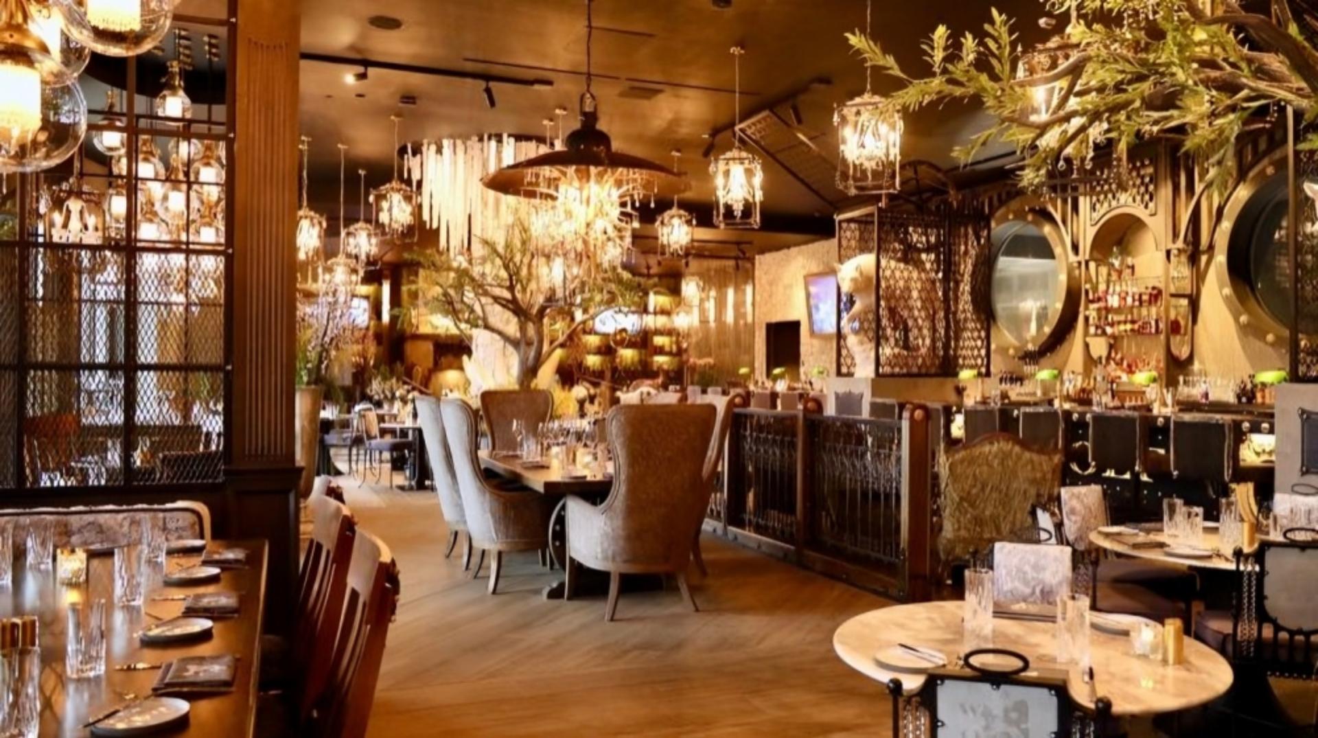 Full Buyout of Wolf by Vanderpump
