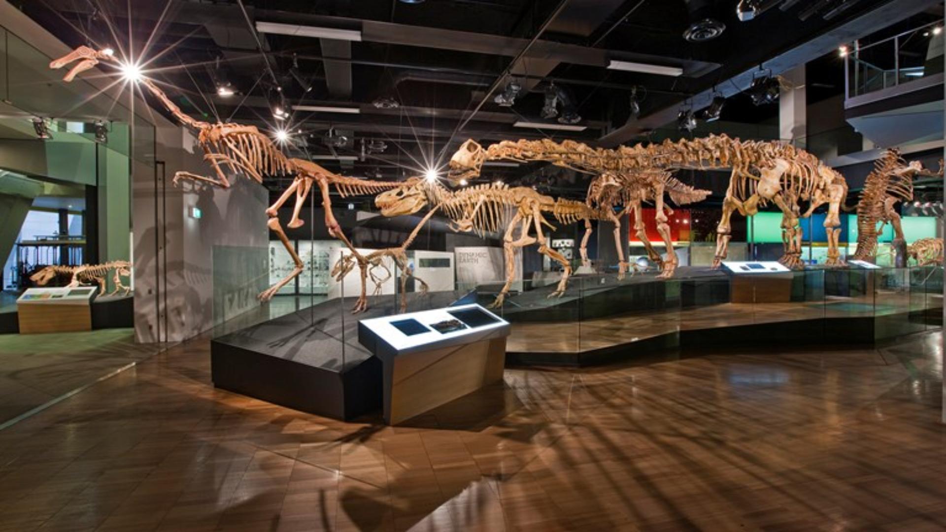 Science and Life Gallery