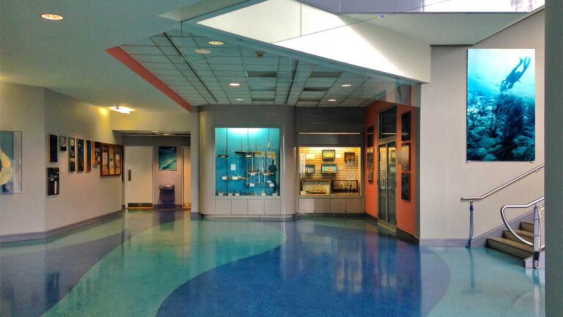 Lower Lobby