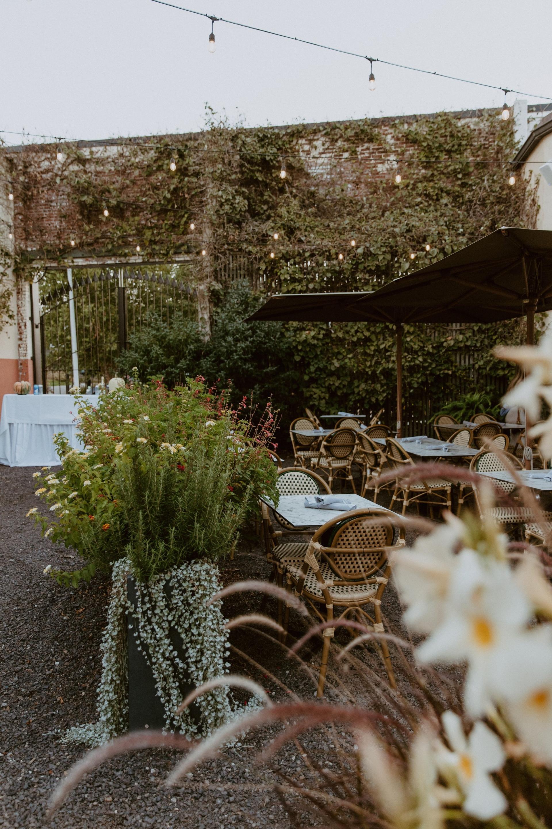 Outdoor Garden