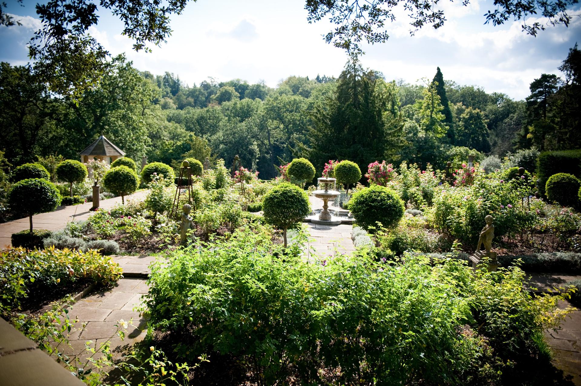 The Rose Garden
