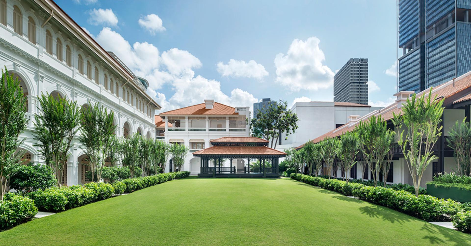 The Lawn