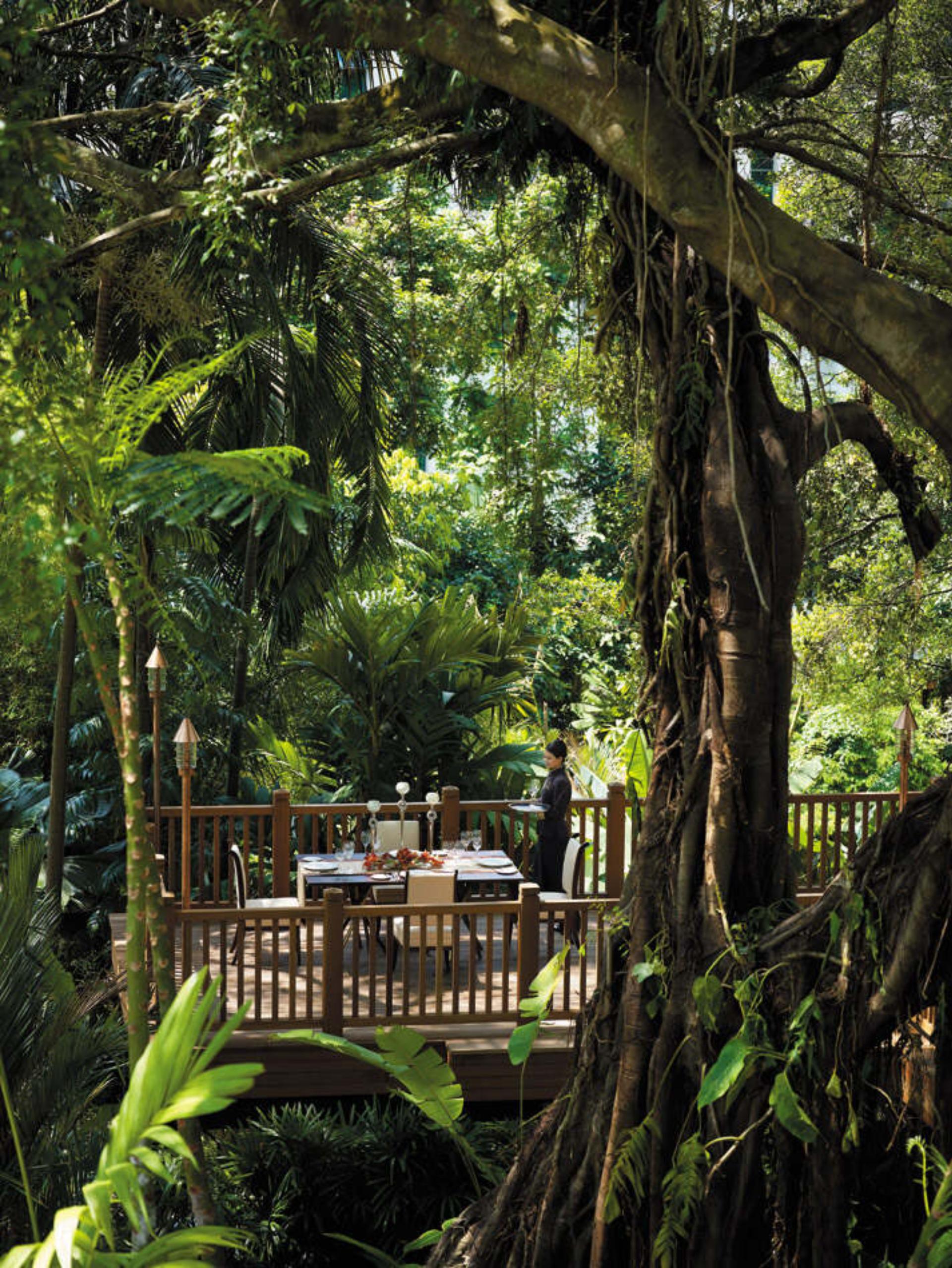 Banyan