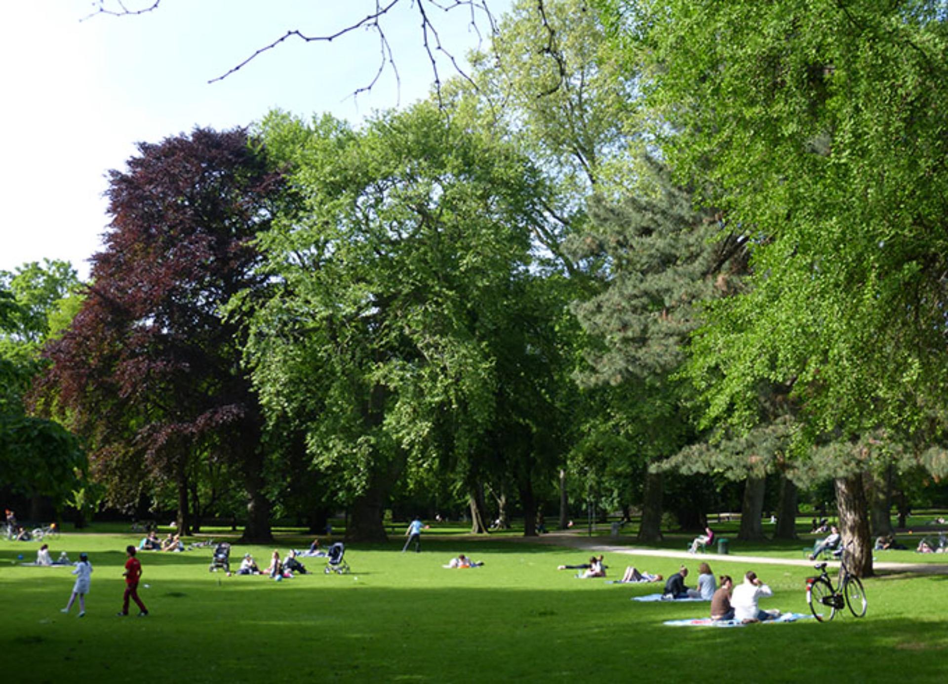 The Stadtgarten Park