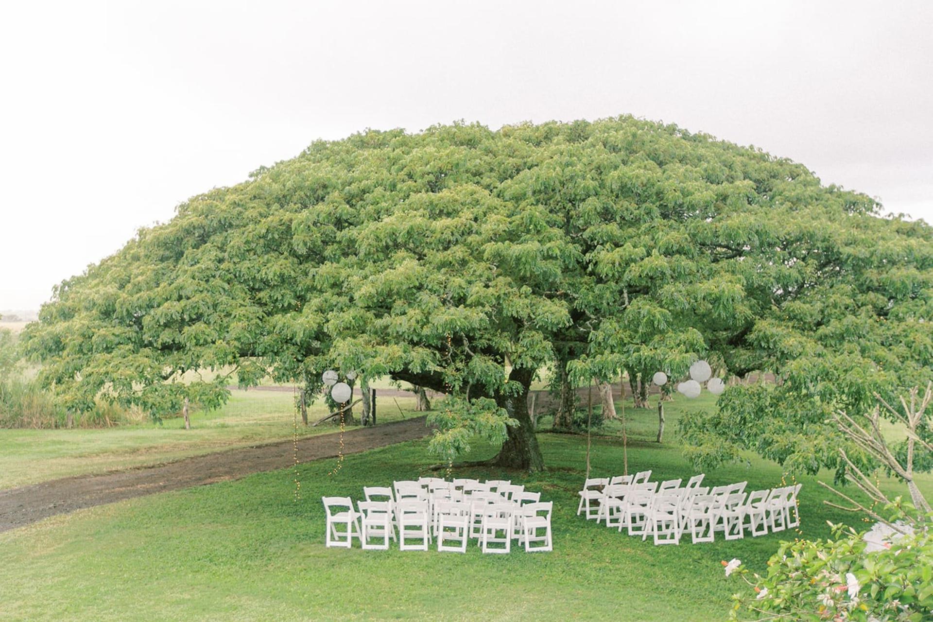 The Estate Event