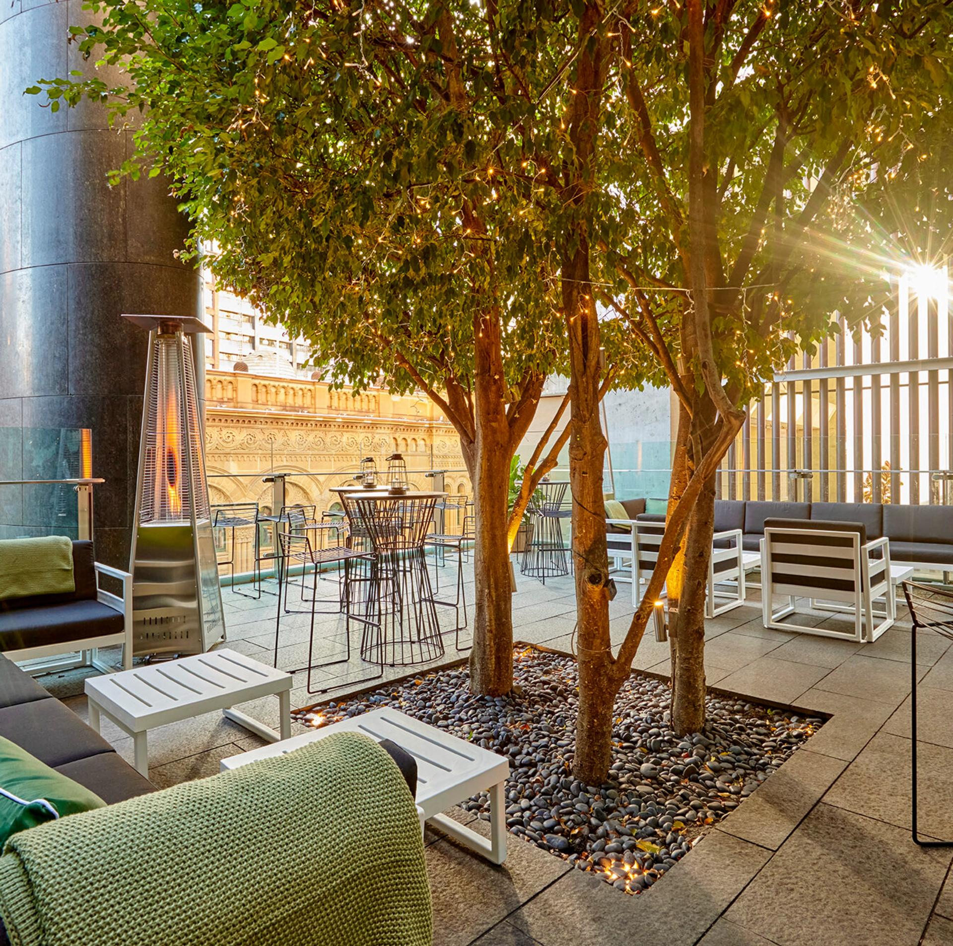 Full Buyout Of The Zeta Back Bar & Terrace 