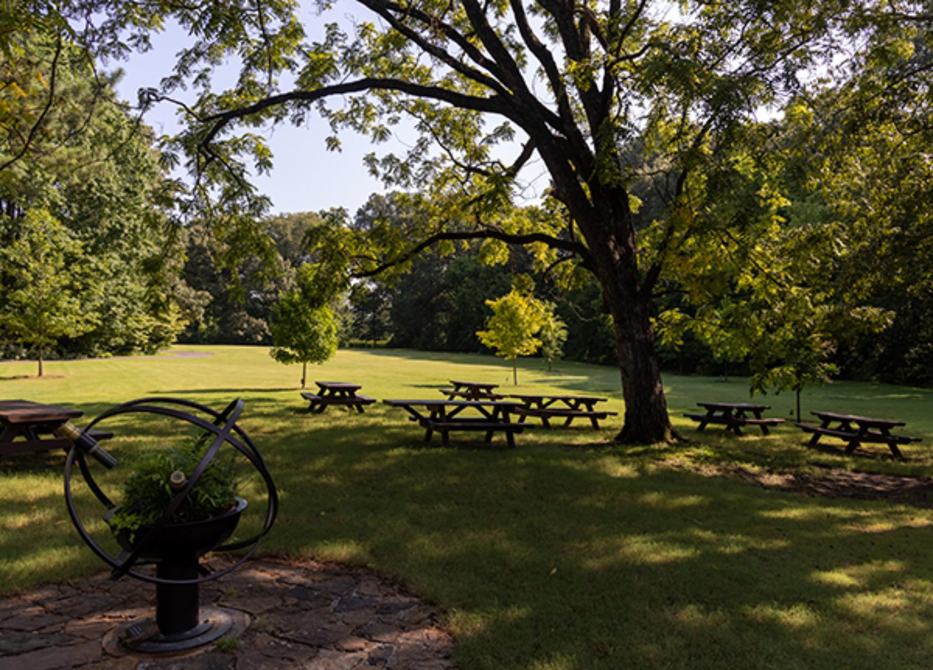 Great Lawn