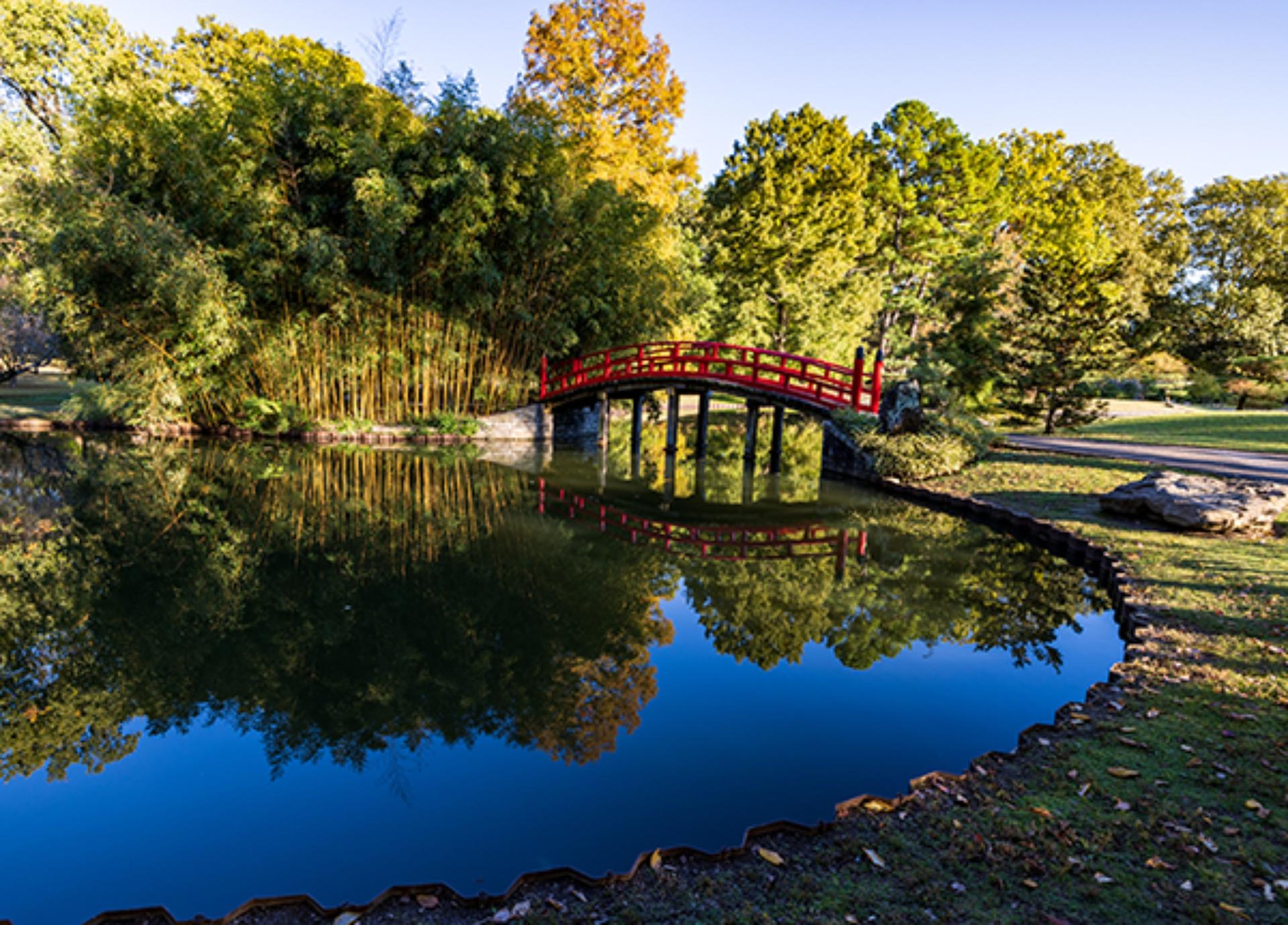 Japanese Garden