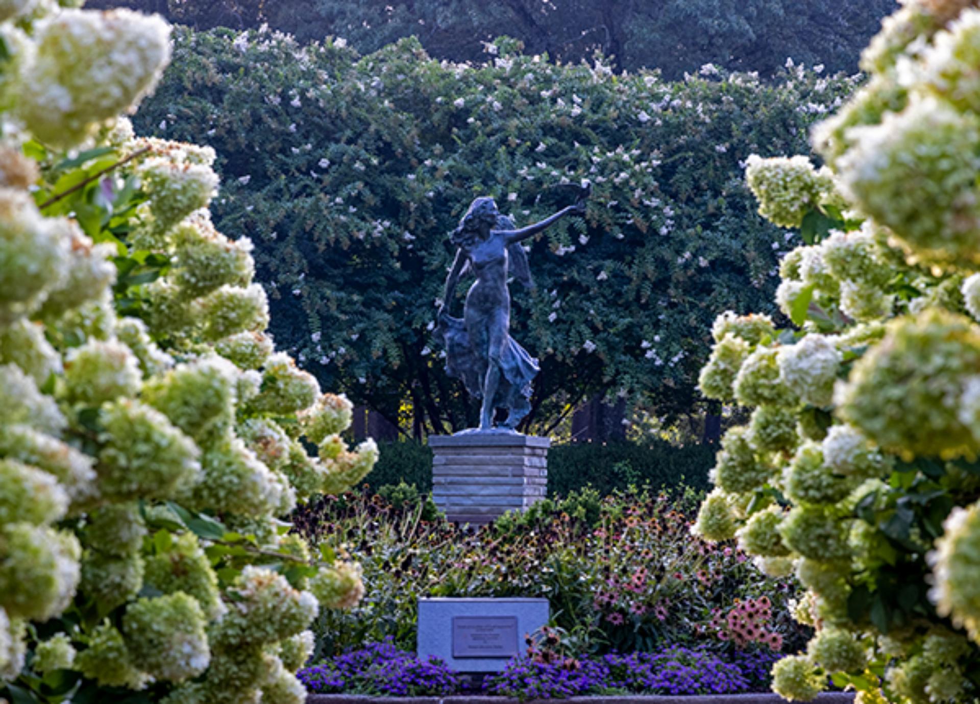 Iris Garden