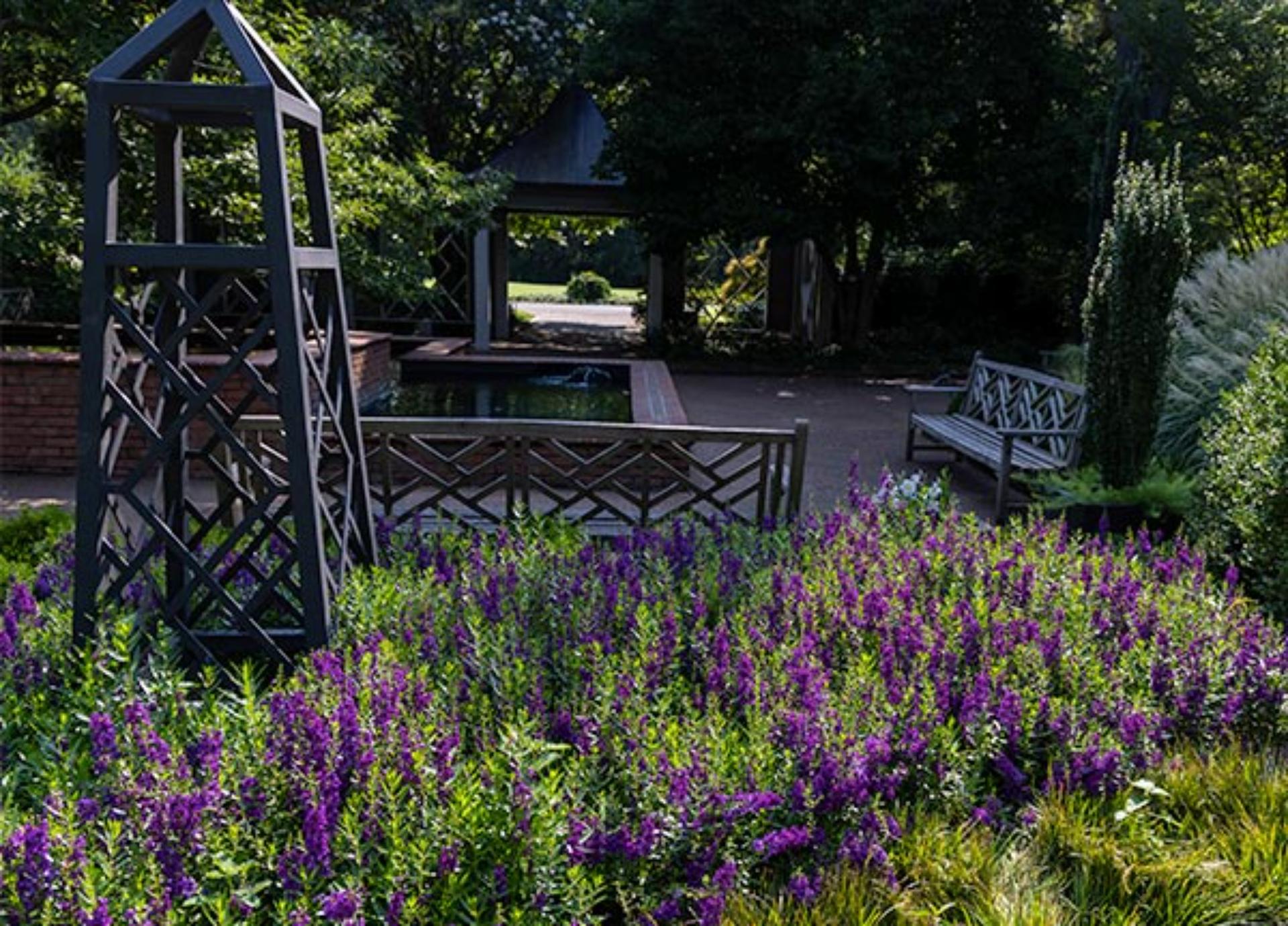 Sensory Garden
