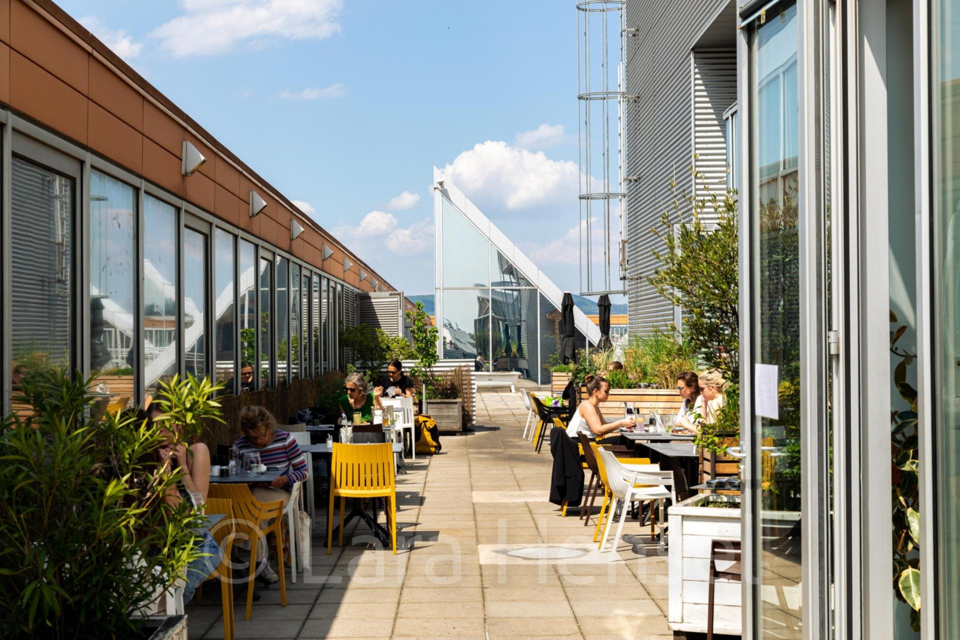 Full Buyout Of The OBEN Küche und Bar