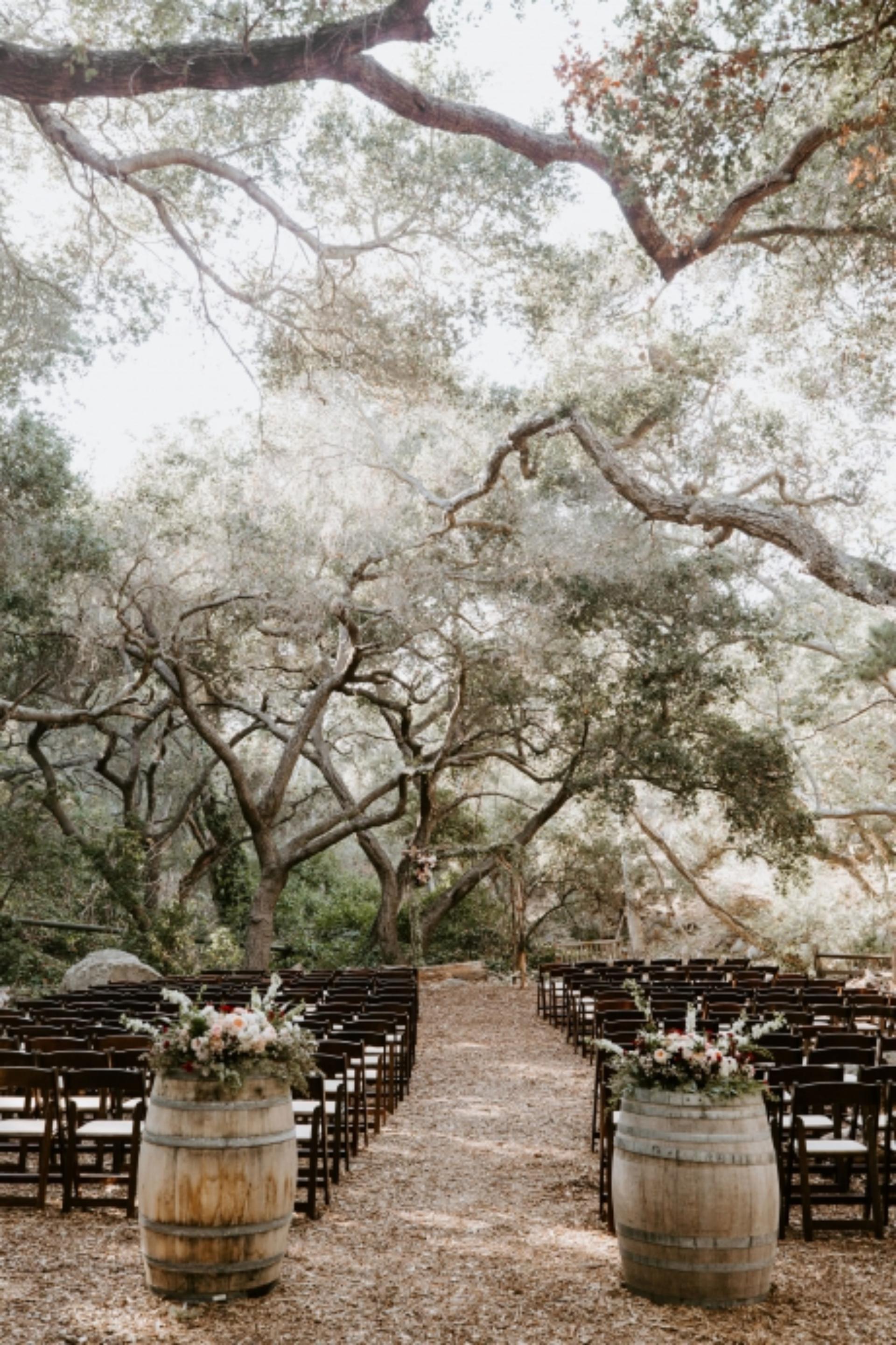 Wooded Area