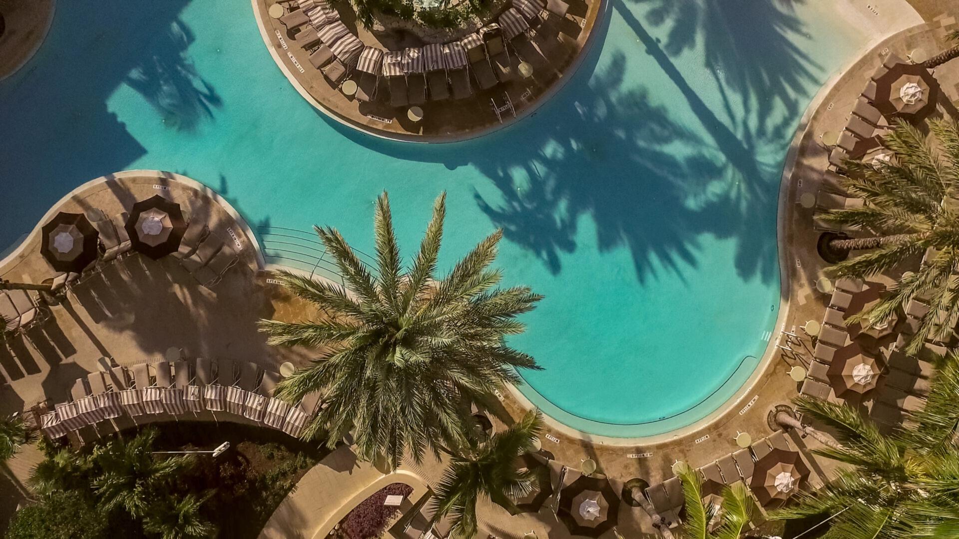 Pool Lawn