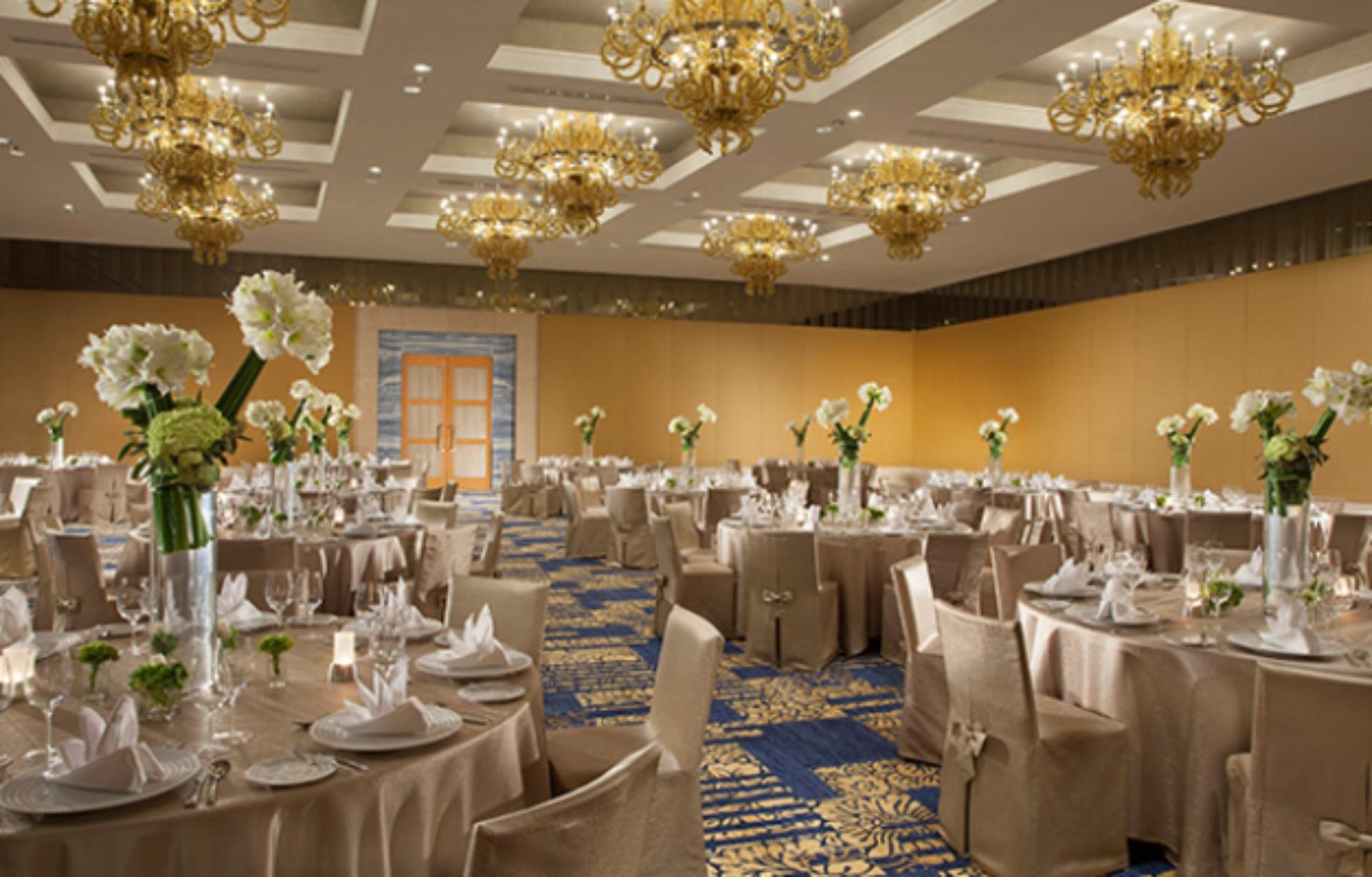 Violet Ballroom 1