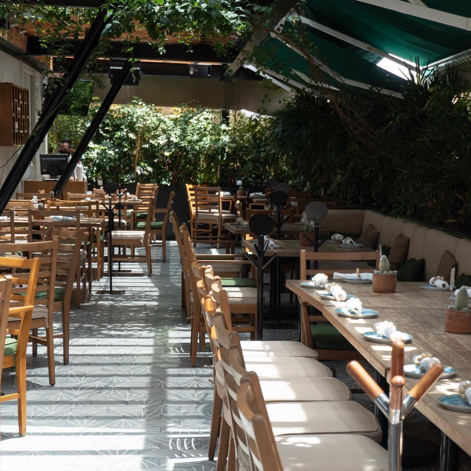Full Buyout Of The Palmares Azotea