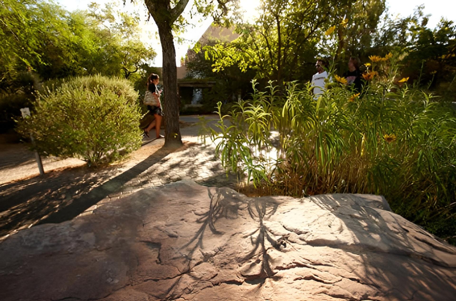 Xeric Garden